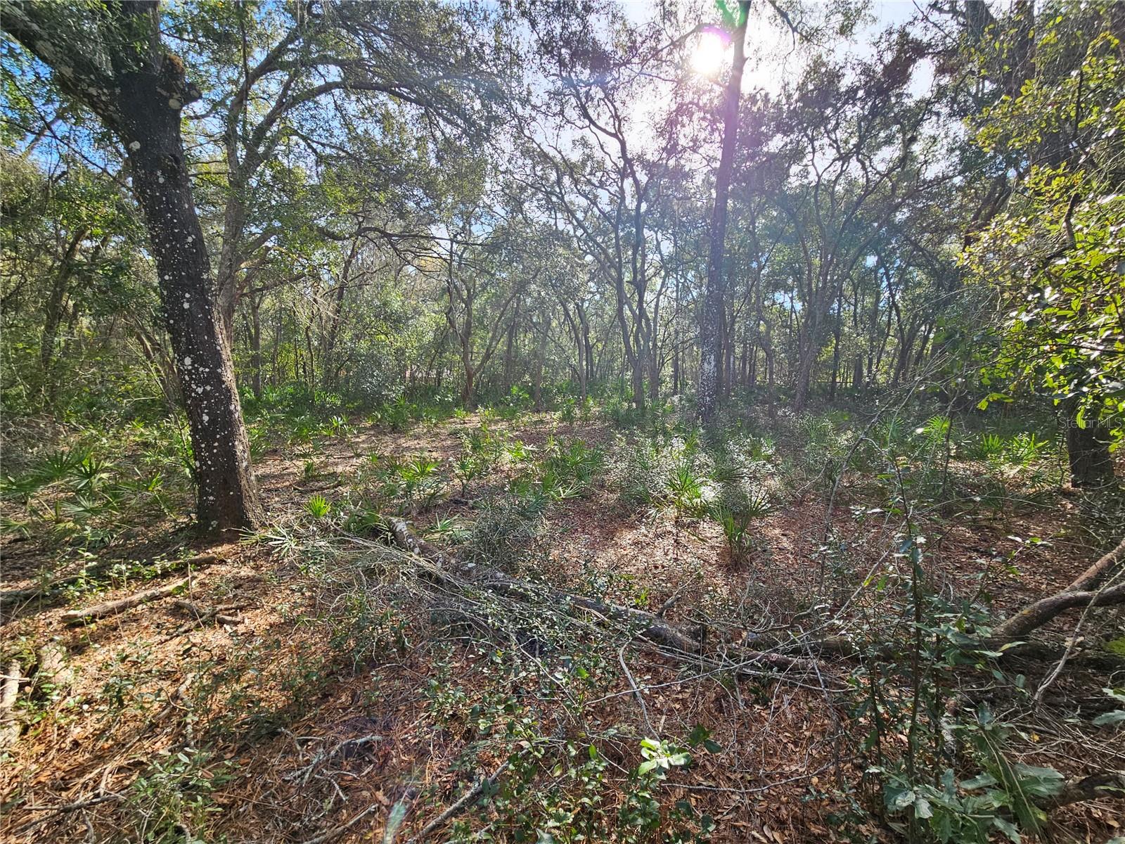 Image 12 of 18 For Rosehill Drive