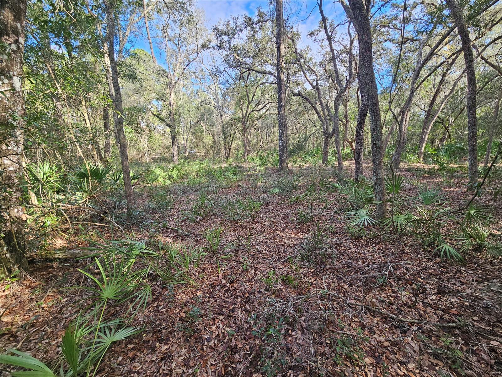 Image 13 of 18 For Rosehill Drive