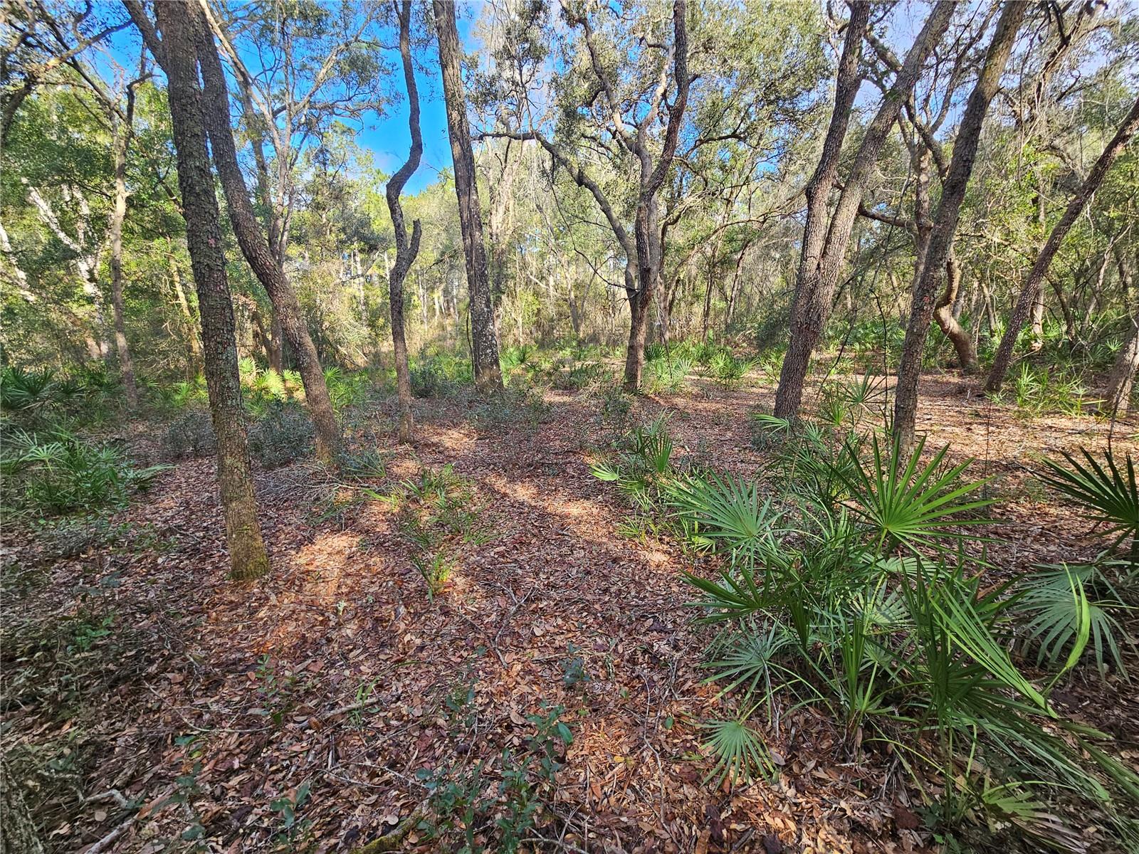 Image 14 of 18 For Rosehill Drive