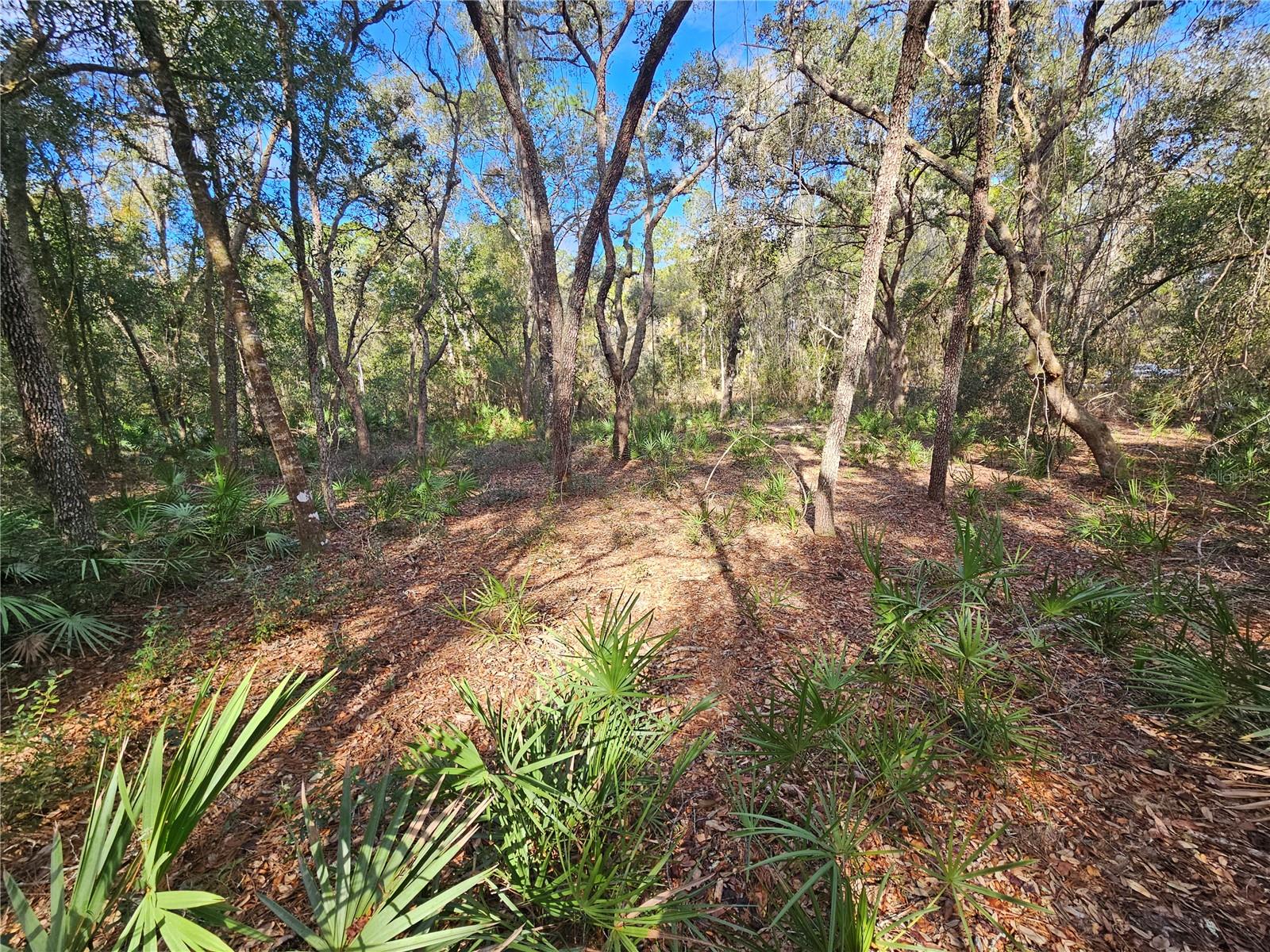 Image 15 of 18 For Rosehill Drive