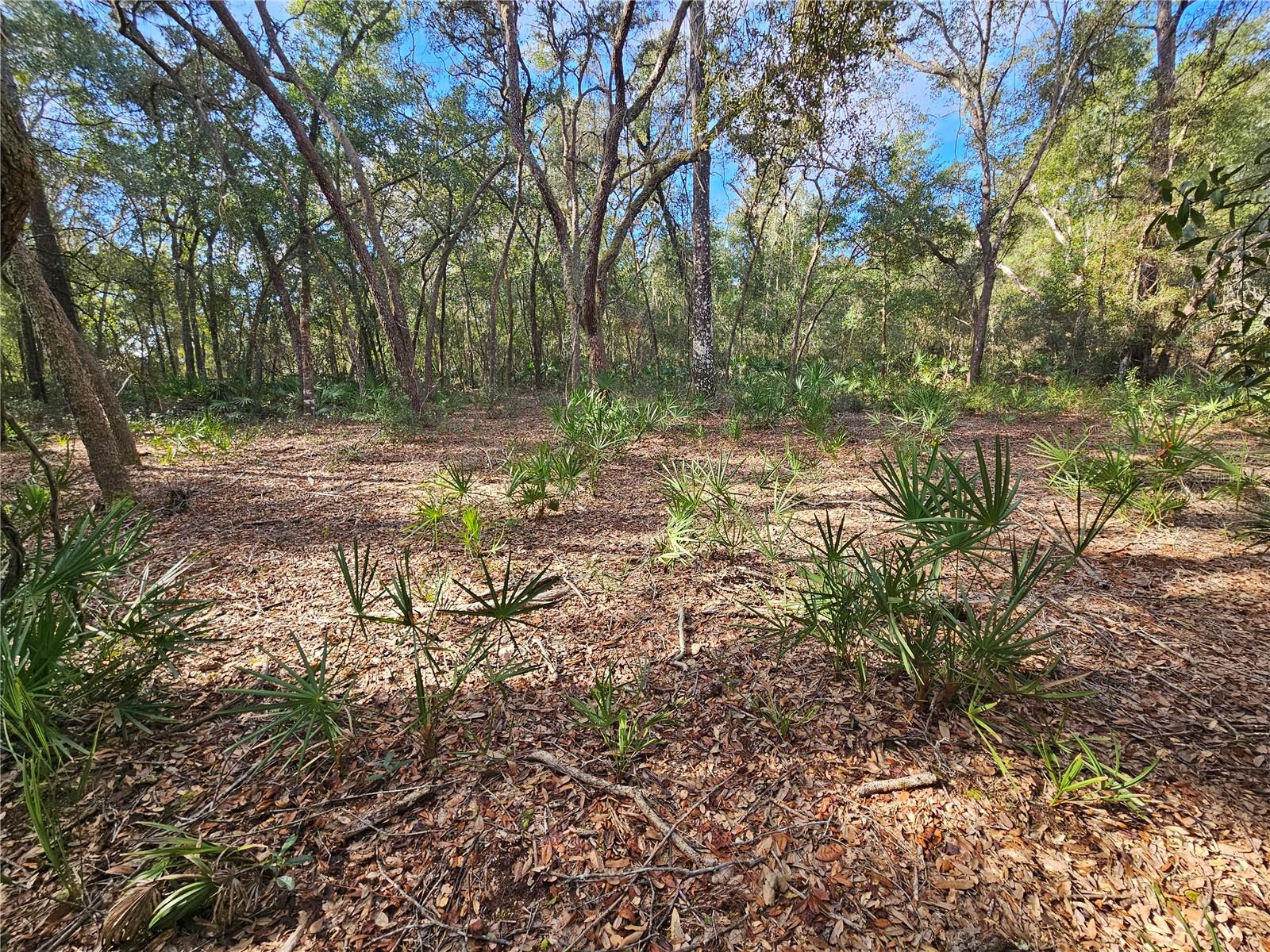 Image 16 of 18 For Rosehill Drive