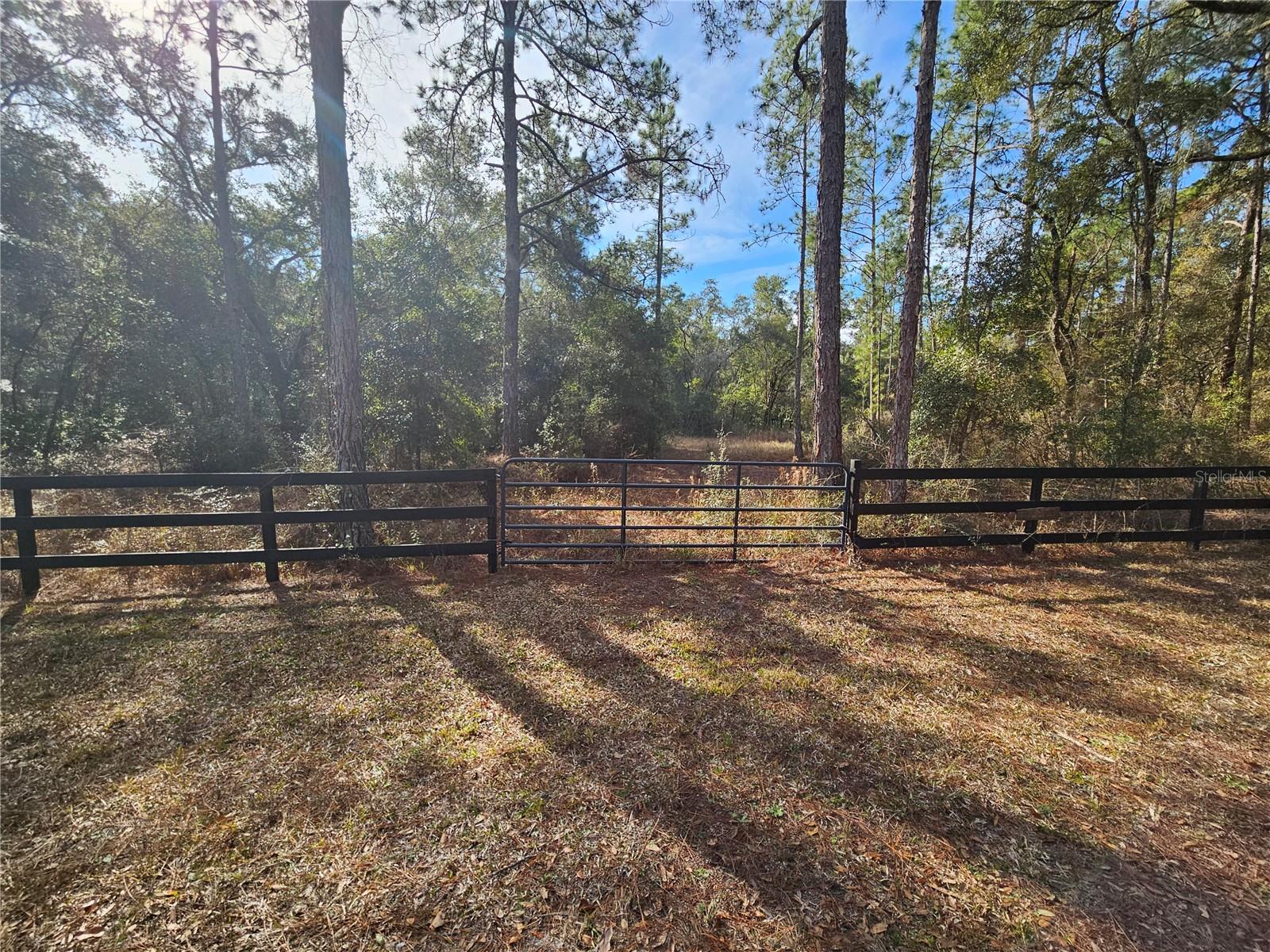 Image 6 of 18 For Rosehill Drive