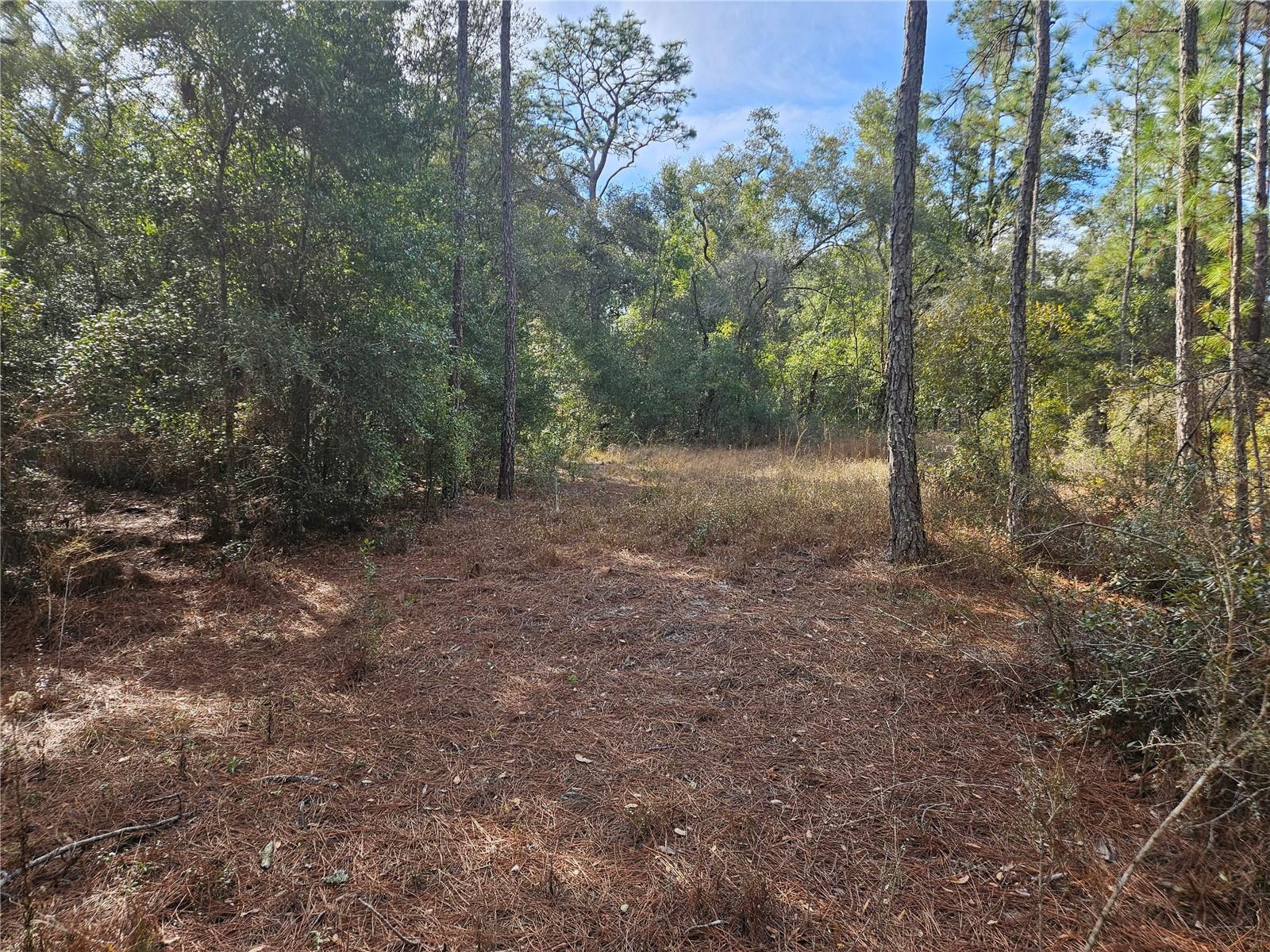 Image 7 of 18 For Rosehill Drive