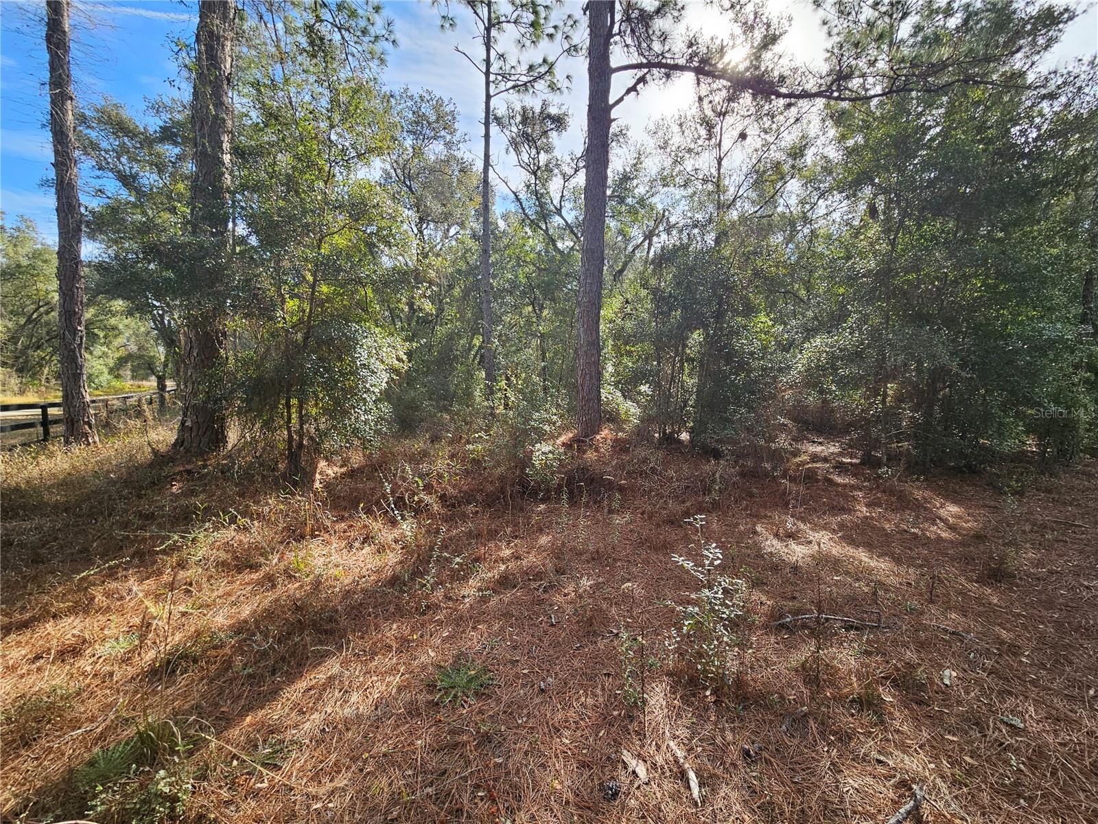 Image 8 of 18 For Rosehill Drive