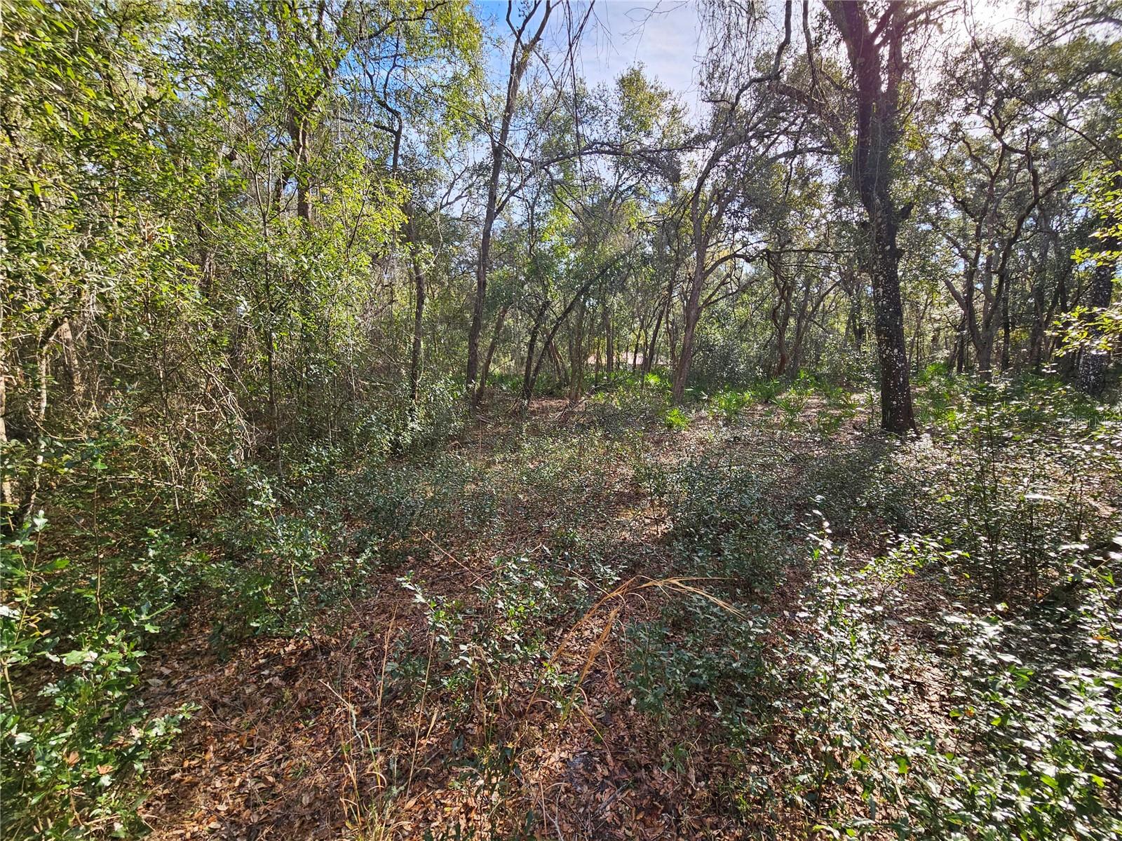 Image 9 of 18 For Rosehill Drive