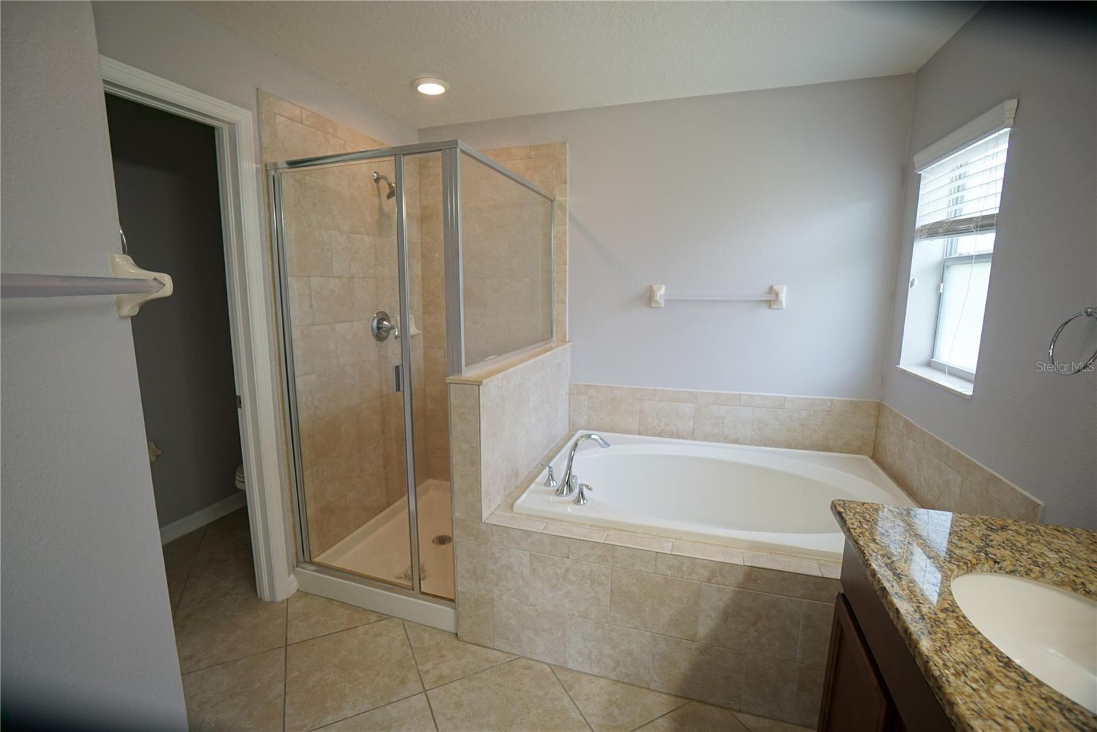 Image 12 of 29 For 12337 Ballentrae Forest Drive