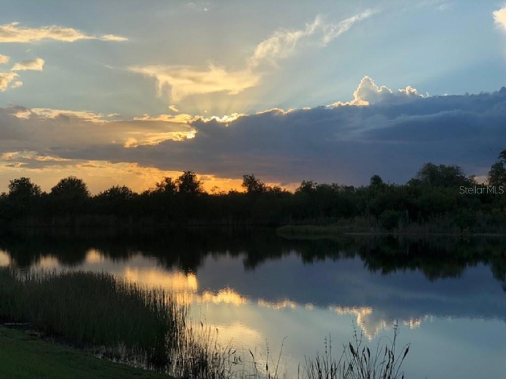 Image 26 of 29 For 12337 Ballentrae Forest Drive