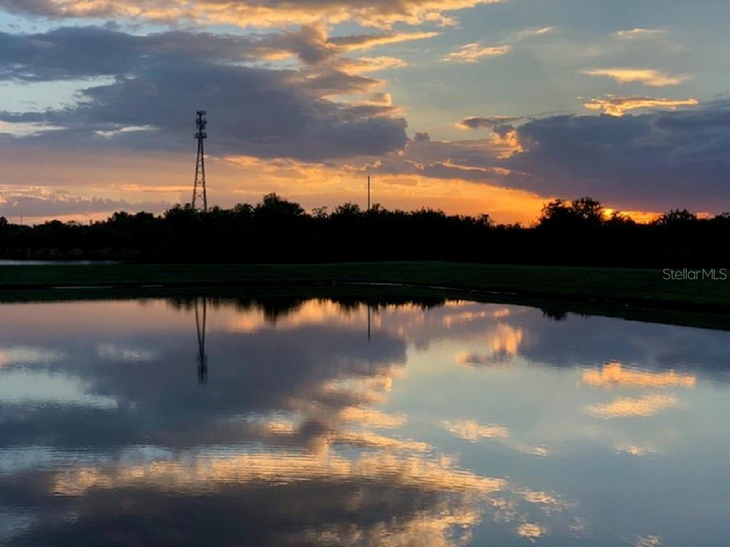 Image 28 of 29 For 12337 Ballentrae Forest Drive