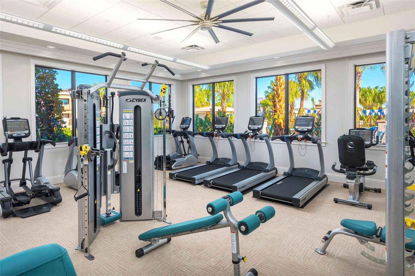 Image 30 of 30 For 32801 Tree Of Life Avenue