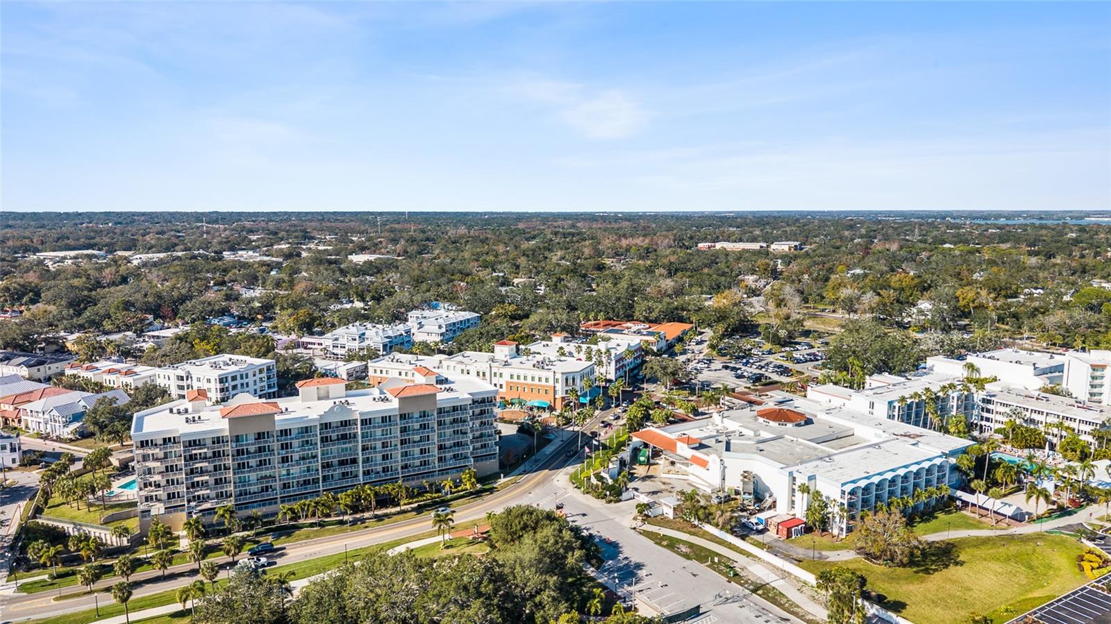 Listing photo id 43 for 101 Bayshore Boulevard 34