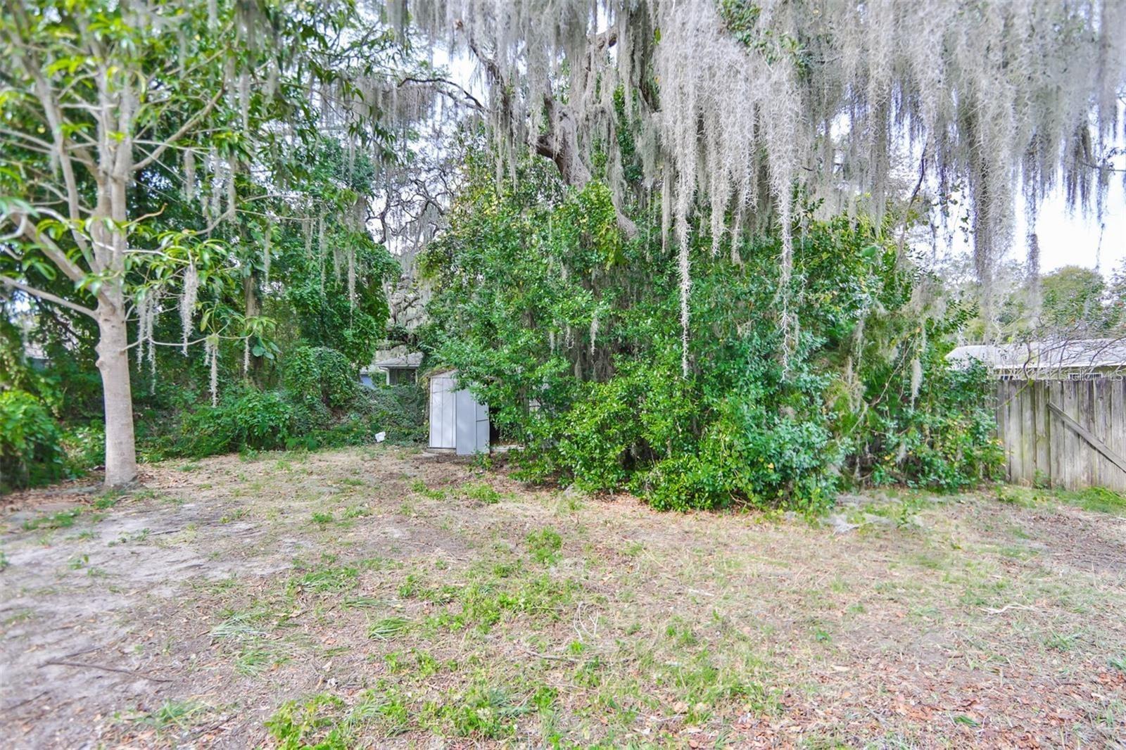 Image 22 of 26 For 2028 Betty Lane