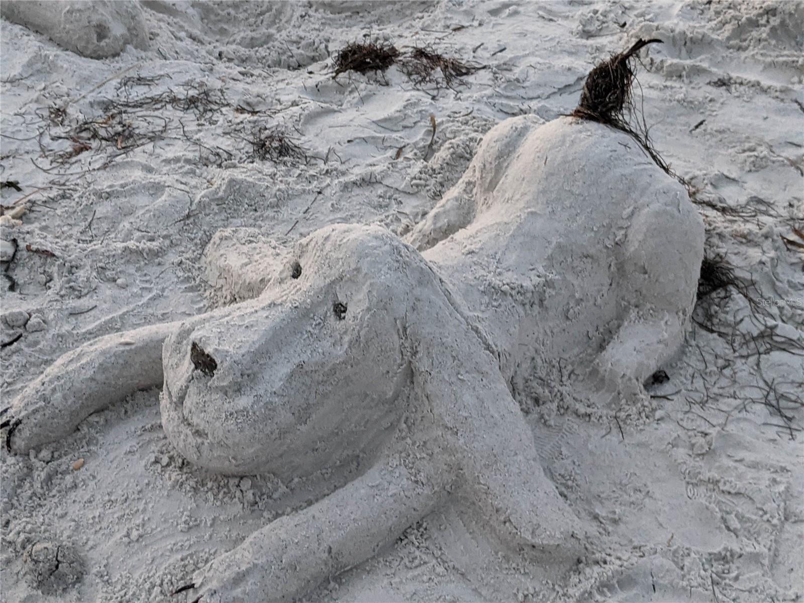 Image 77 of 79 For 825 Gulf Boulevard 110