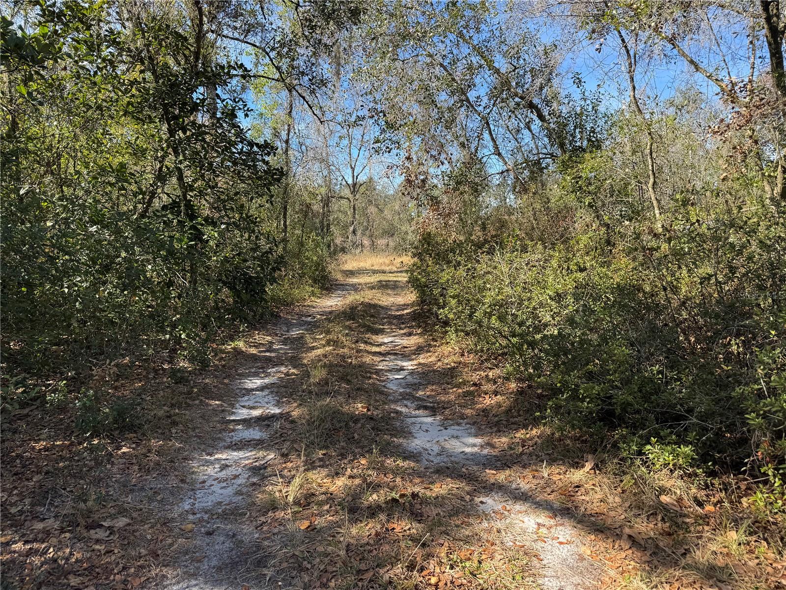 Image 16 of 26 For 6704 Ike Smith Road