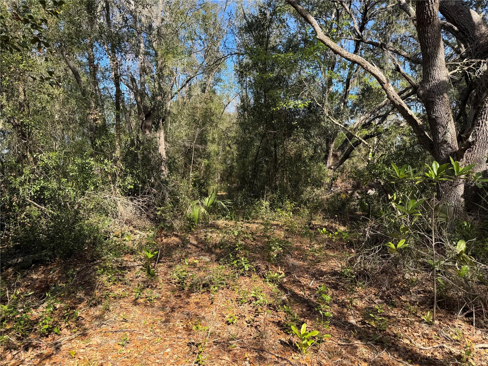 Image 17 of 26 For 6704 Ike Smith Road