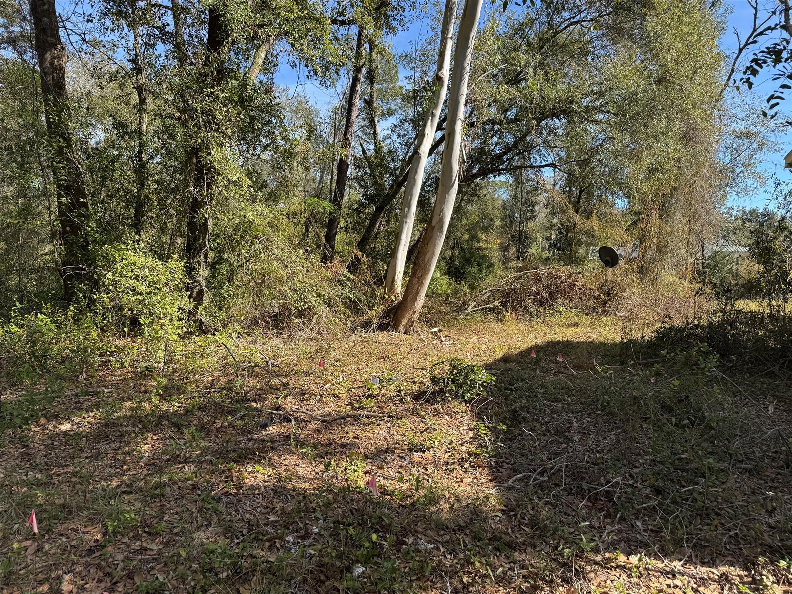 Image 18 of 26 For 6704 Ike Smith Road