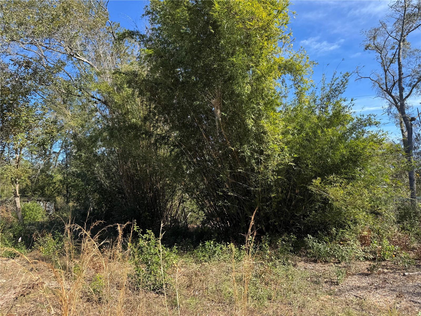 Image 19 of 26 For 6704 Ike Smith Road