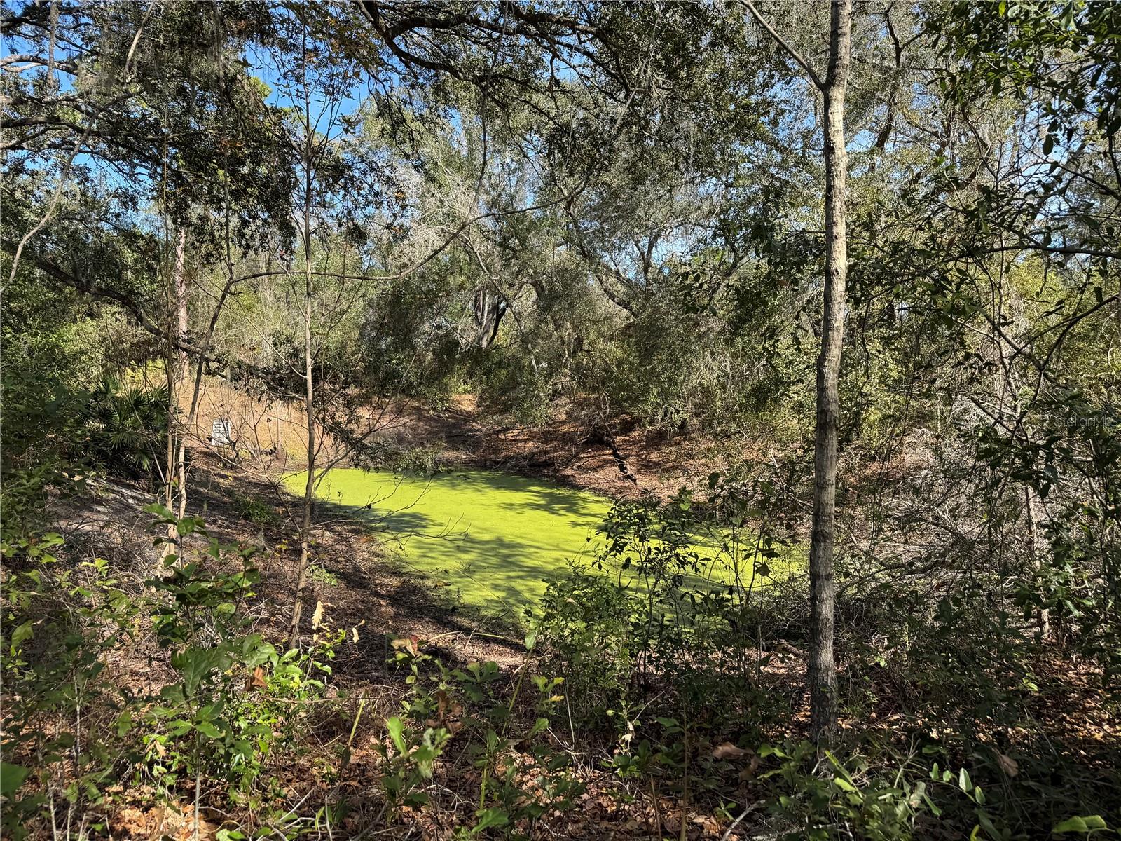 Image 23 of 26 For 6704 Ike Smith Road