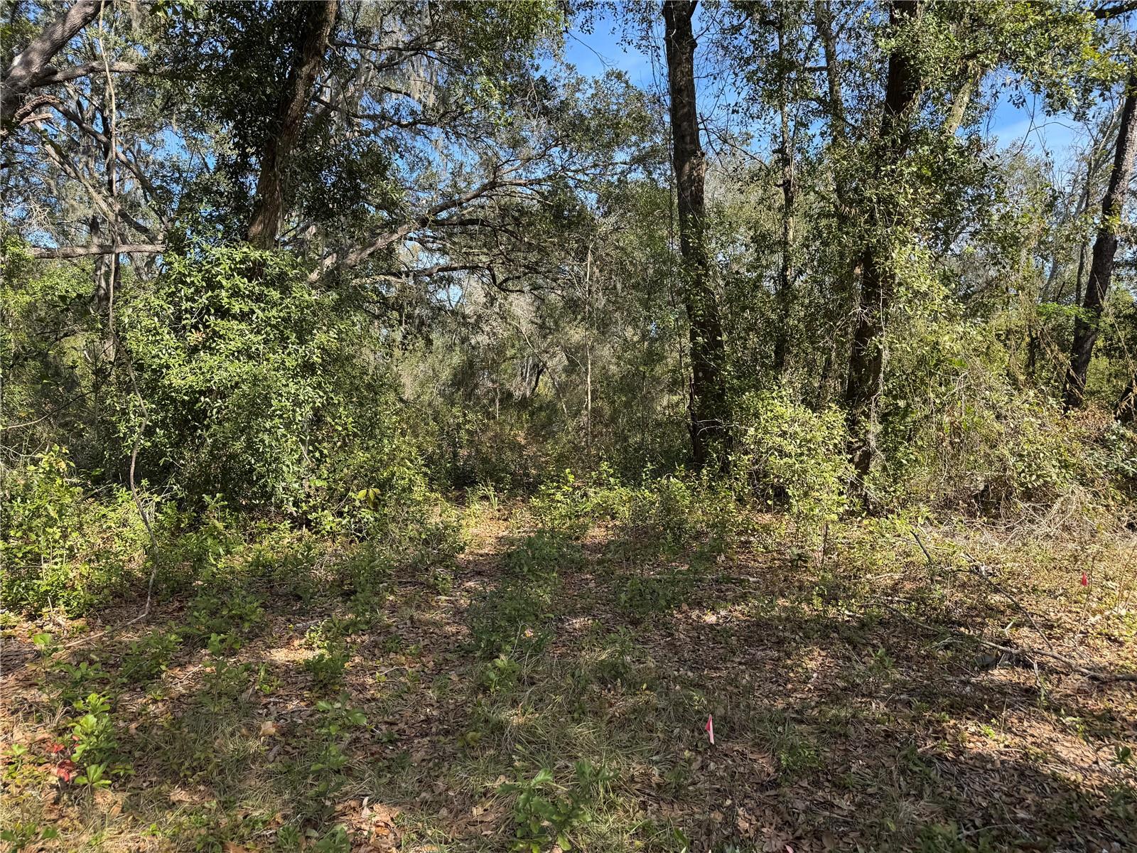 Image 24 of 26 For 6704 Ike Smith Road