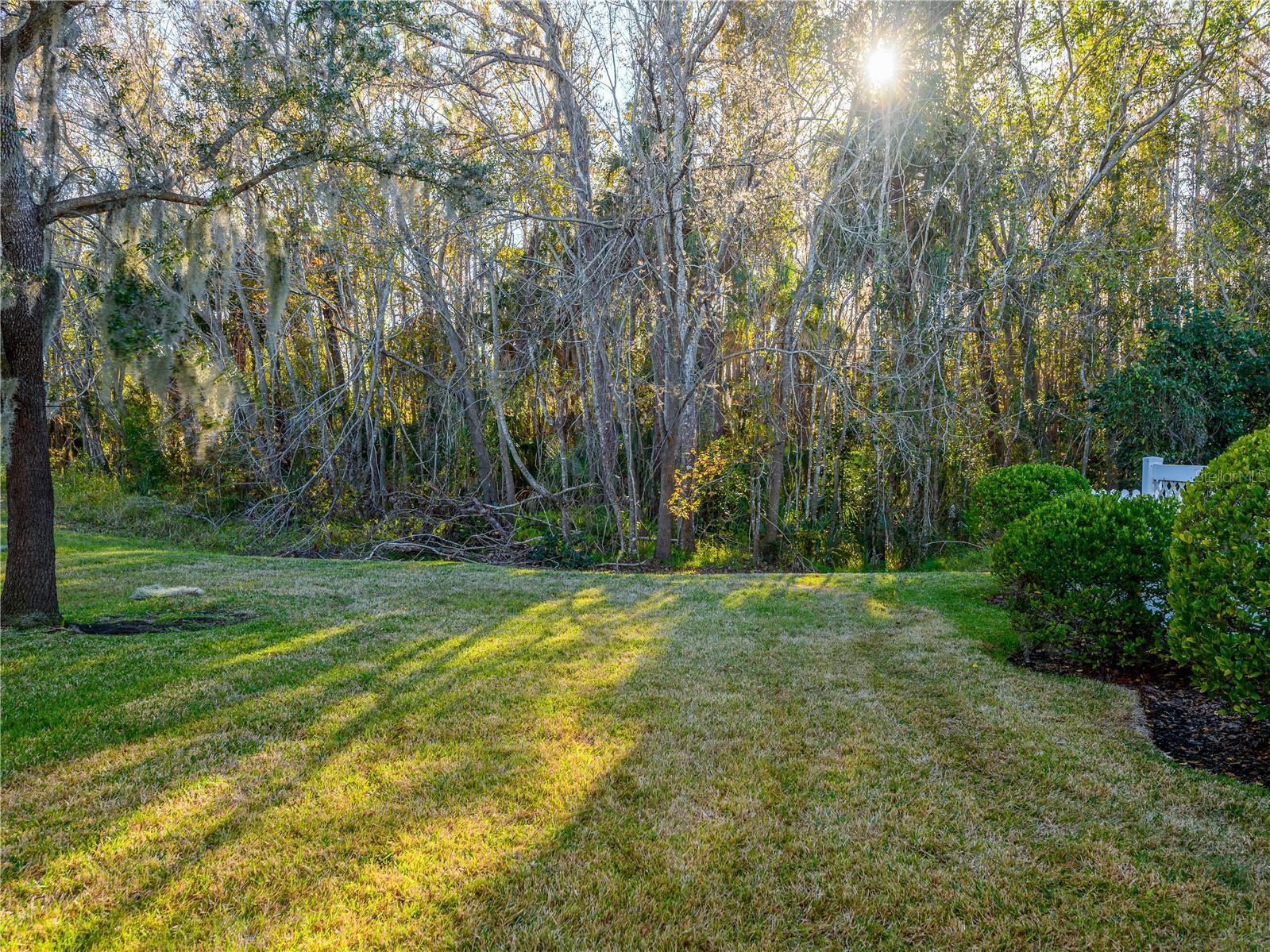 Image 26 of 33 For 26918 Stillbrook Drive