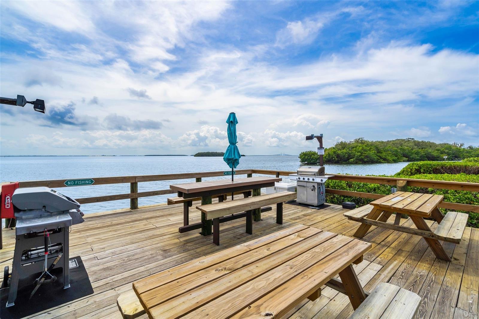 Image 30 of 52 For 1515 Pinellas Bayway S 59