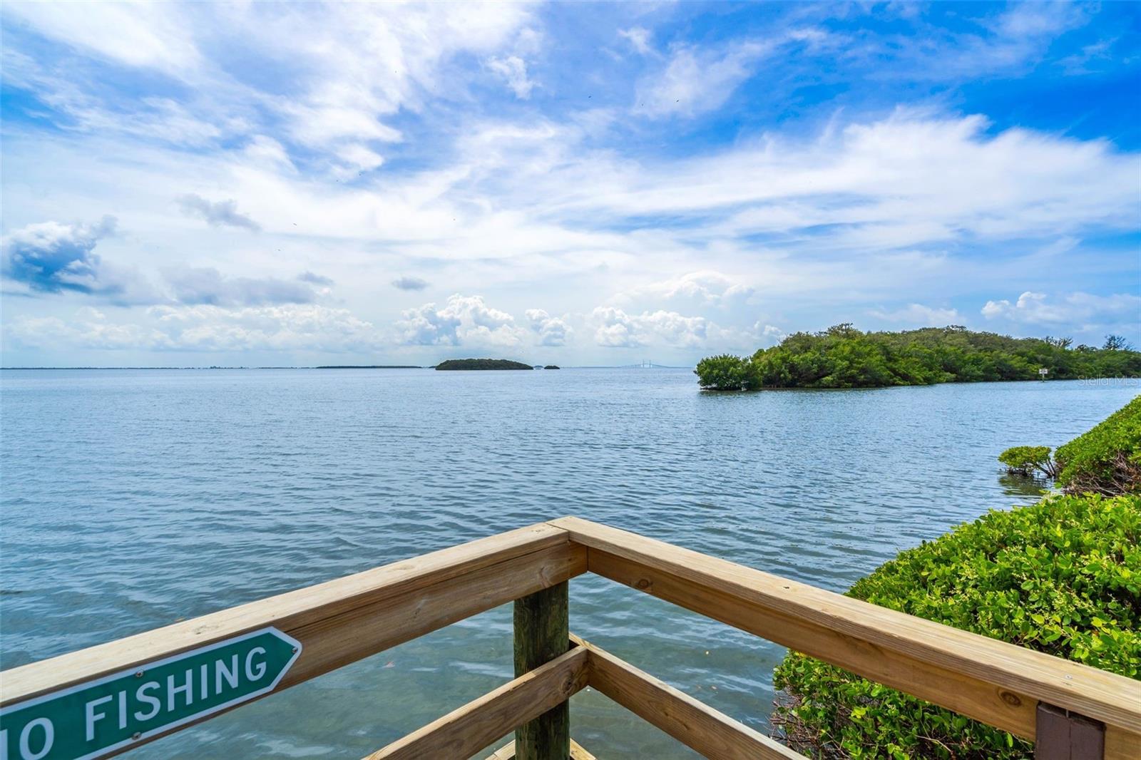 Image 31 of 52 For 1515 Pinellas Bayway S 59