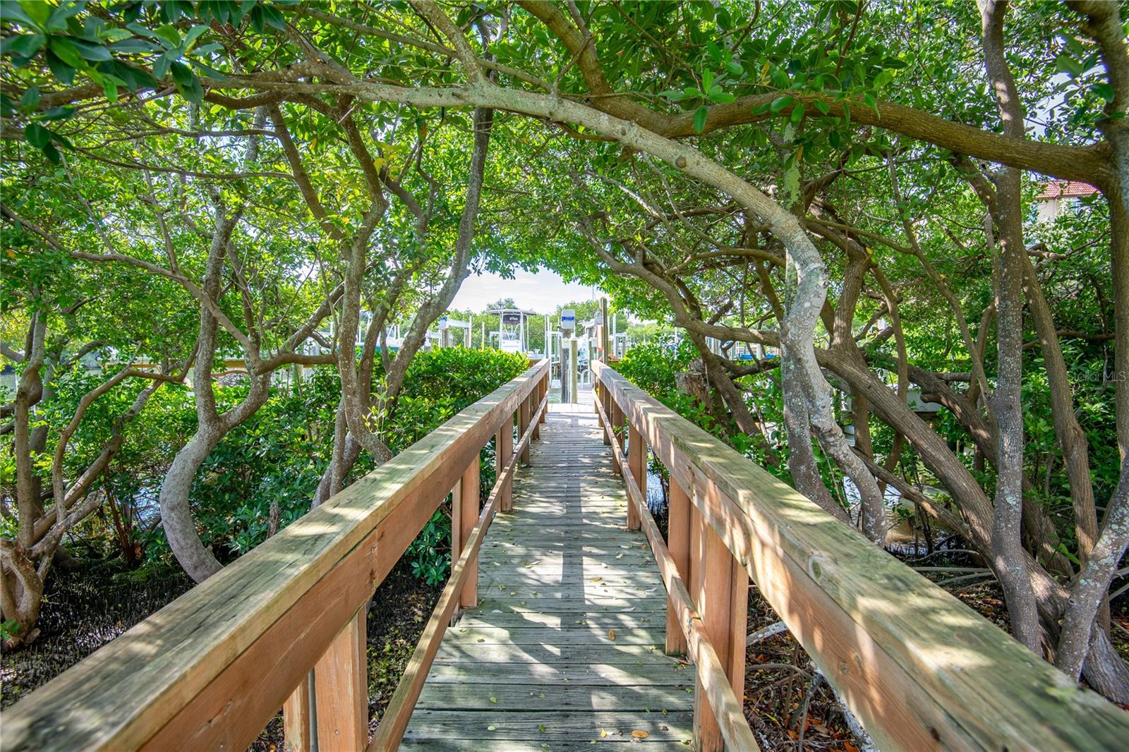 Image 45 of 52 For 1515 Pinellas Bayway S 59