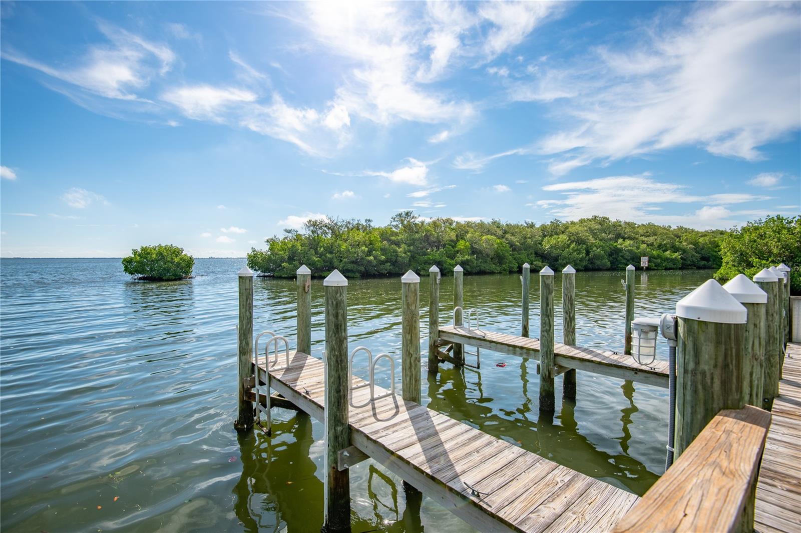 Image 48 of 52 For 1515 Pinellas Bayway S 59