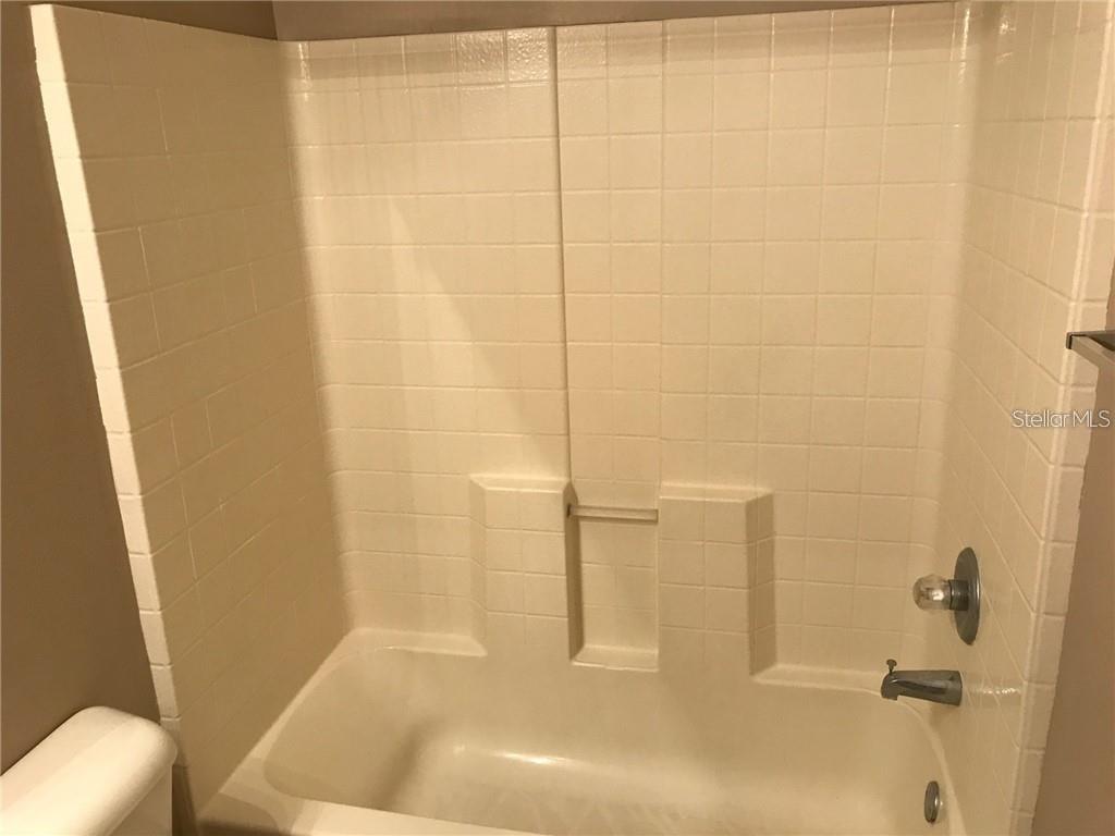 Image 8 of 15 For 15776 Fishhawk Falls Drive