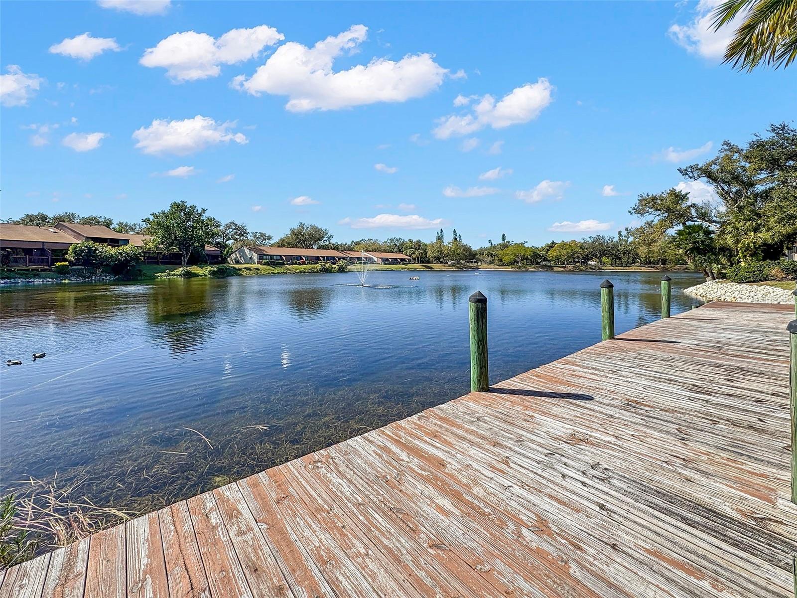 Image 39 of 42 For 4425 Park Lake Terrace N