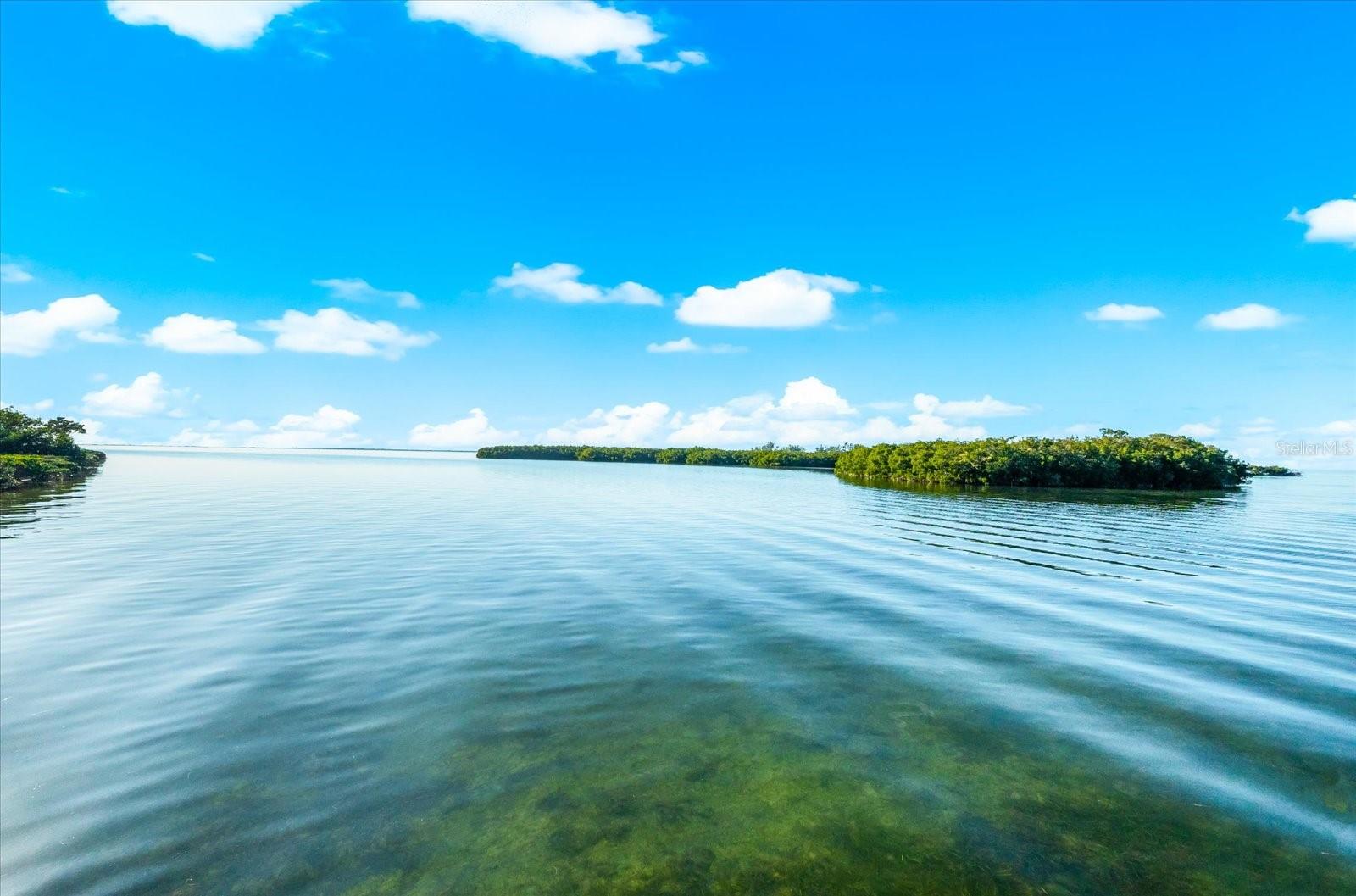 Image 52 of 89 For 2059 Pointe Alexis Drive