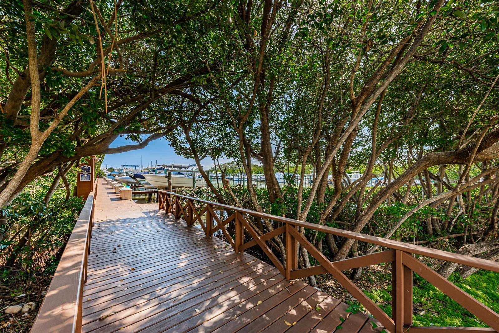 Image 45 of 56 For 1316 Pasadena Avenue S 303