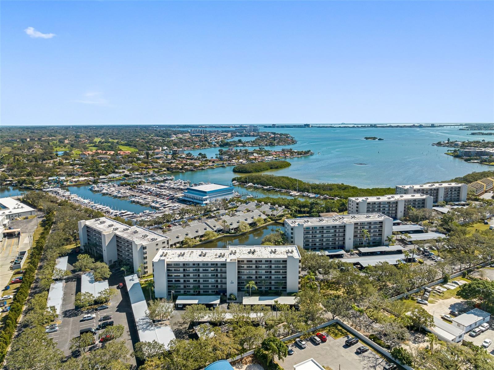 Image 51 of 56 For 1316 Pasadena Avenue S 303