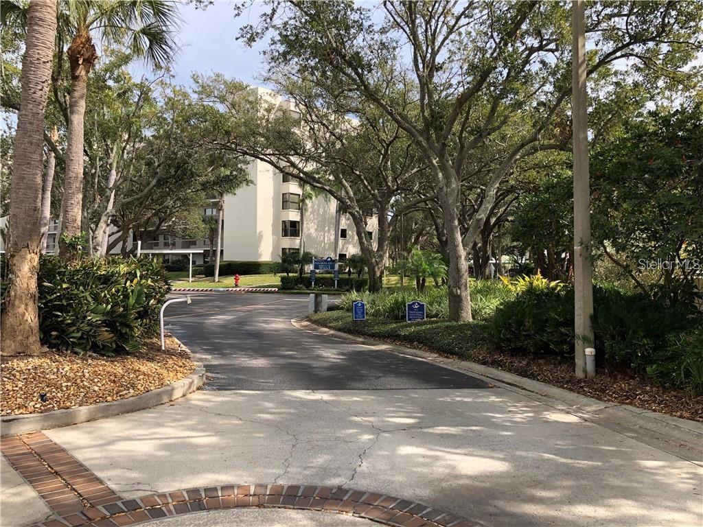 Image 52 of 56 For 1316 Pasadena Avenue S 303