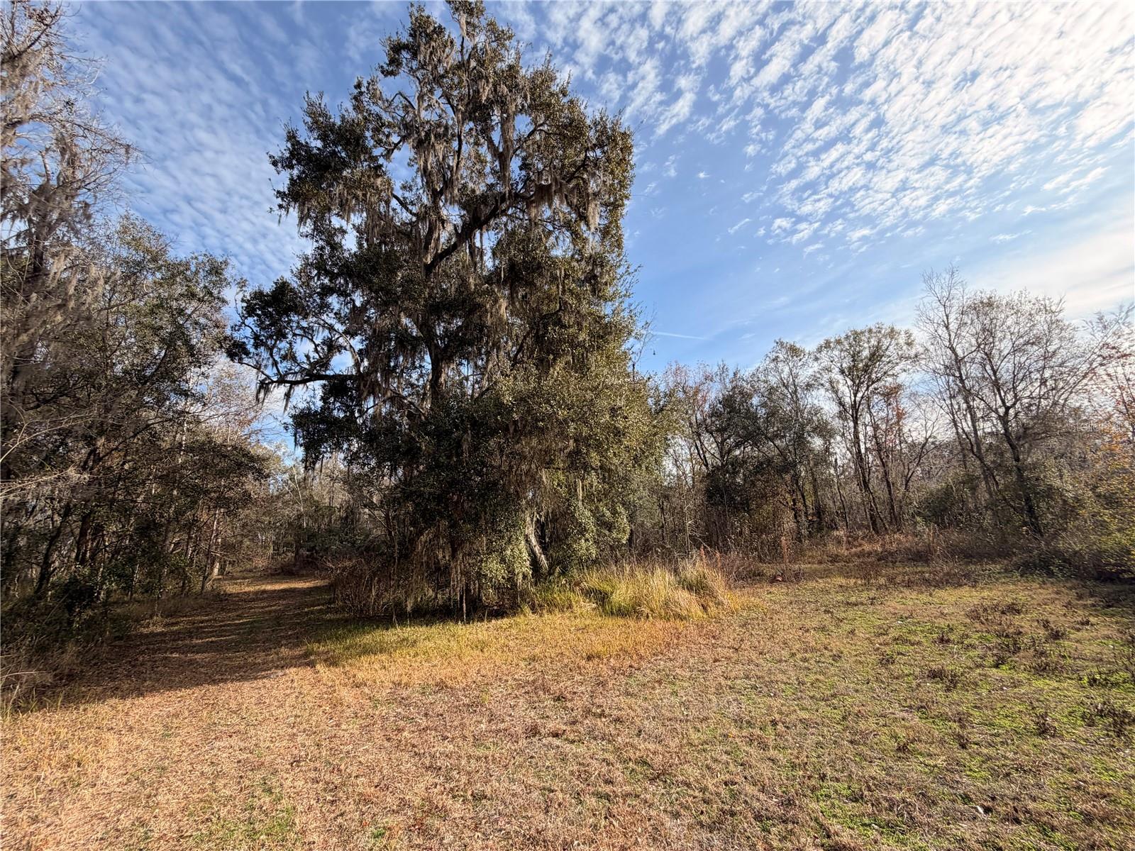 Listing photo id 49 for 765 Sloans Ridge Road