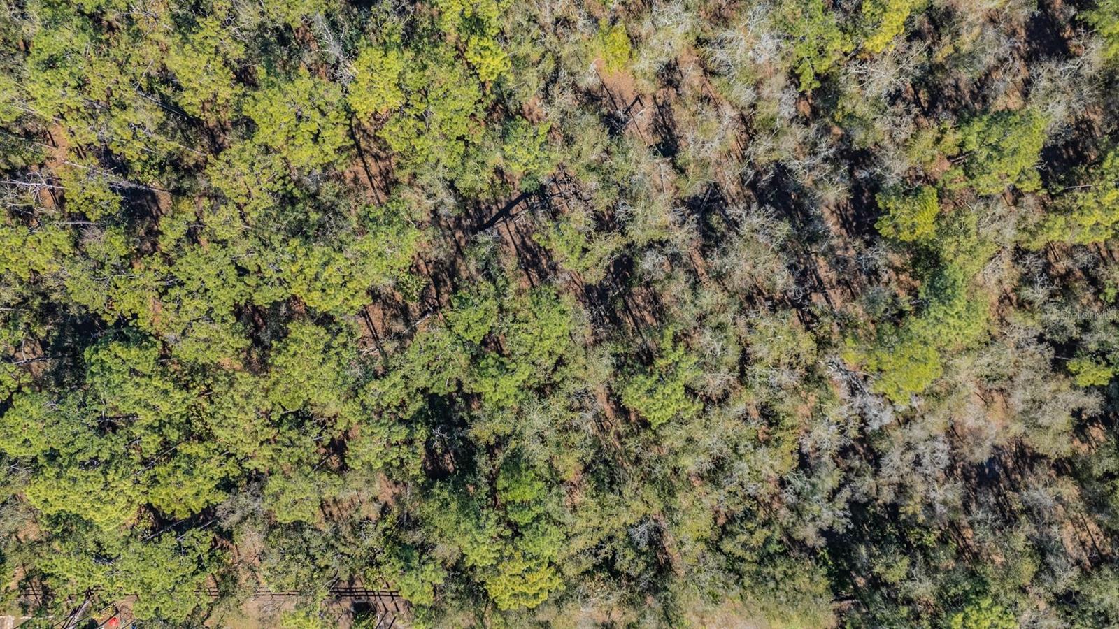 Listing photo id 8 for 5504 Sun Up Road