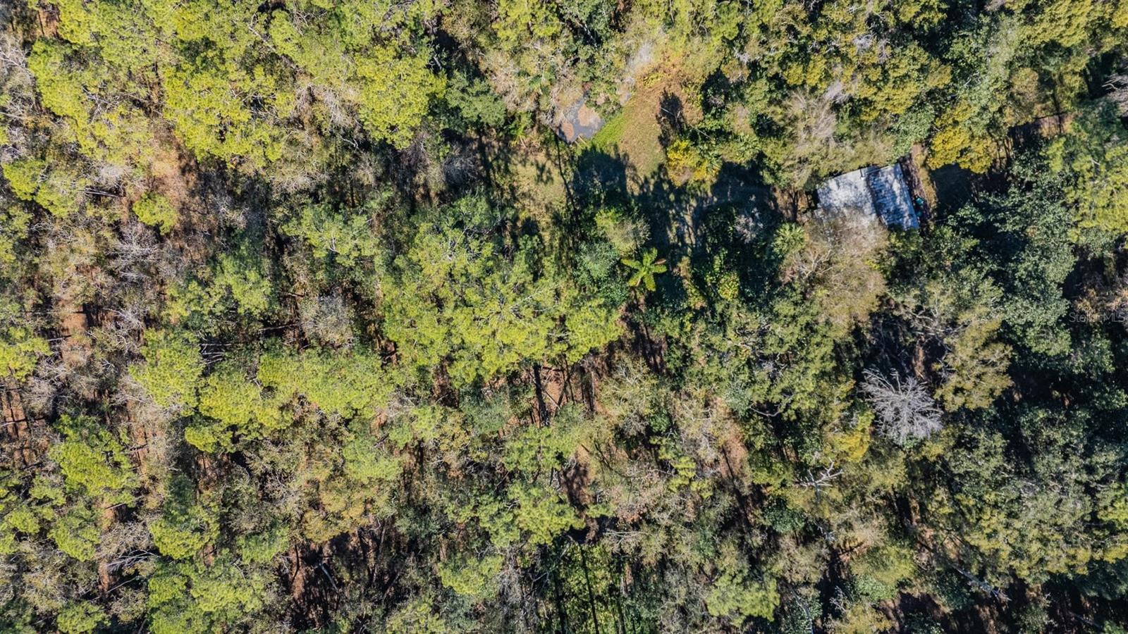 Listing photo id 9 for 5504 Sun Up Road