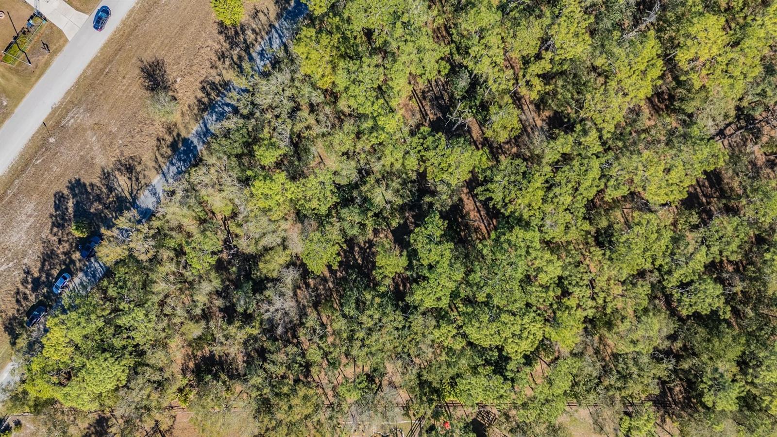 Listing photo id 7 for 5504 Sun Up Road