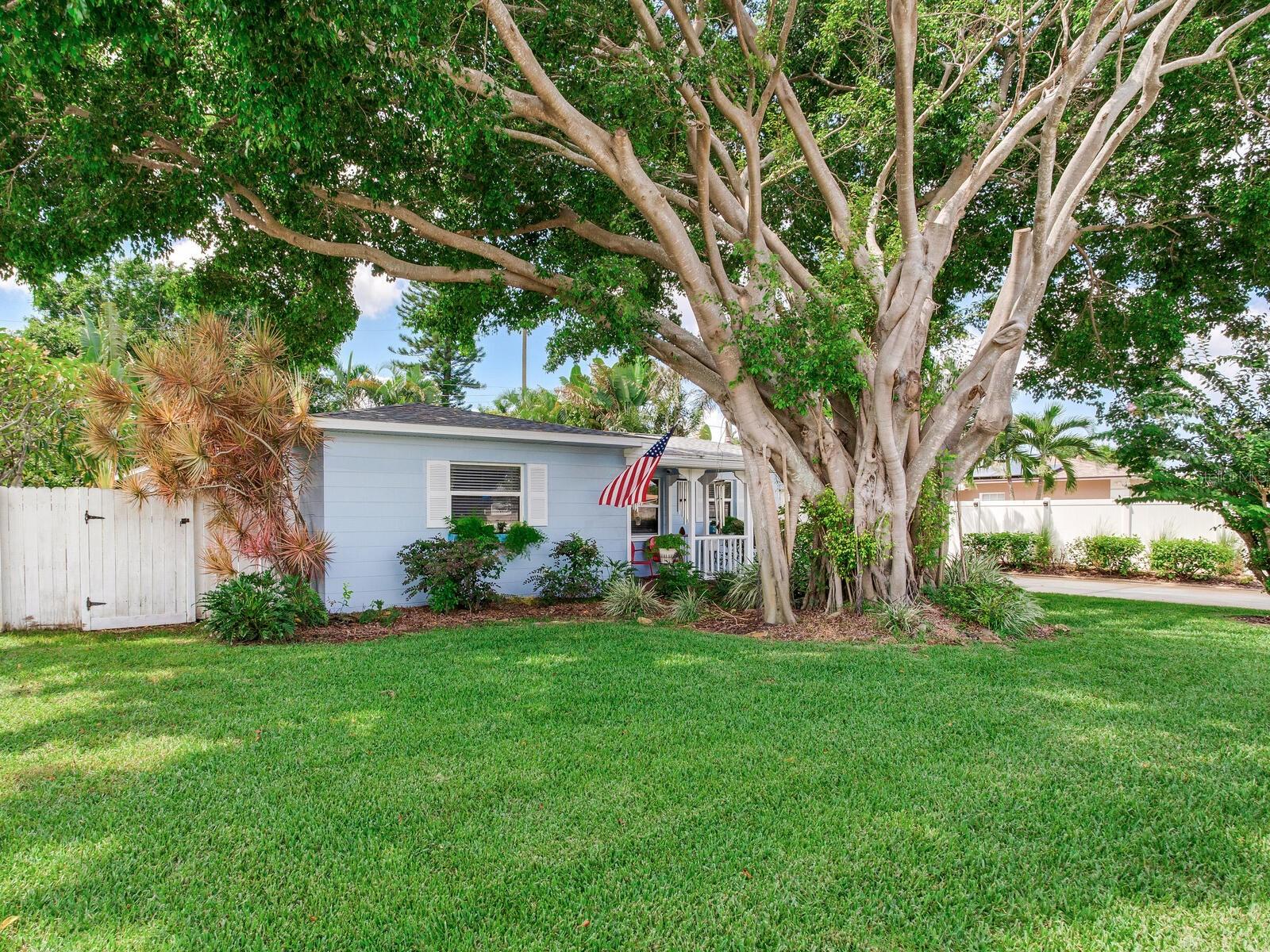 Image 2 of 44 For 3662 24th Avenue N