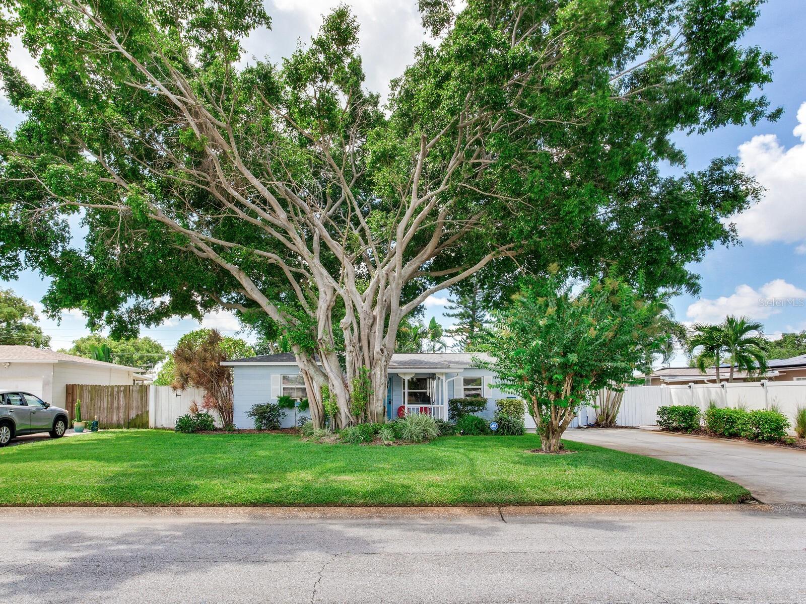 Image 4 of 44 For 3662 24th Avenue N