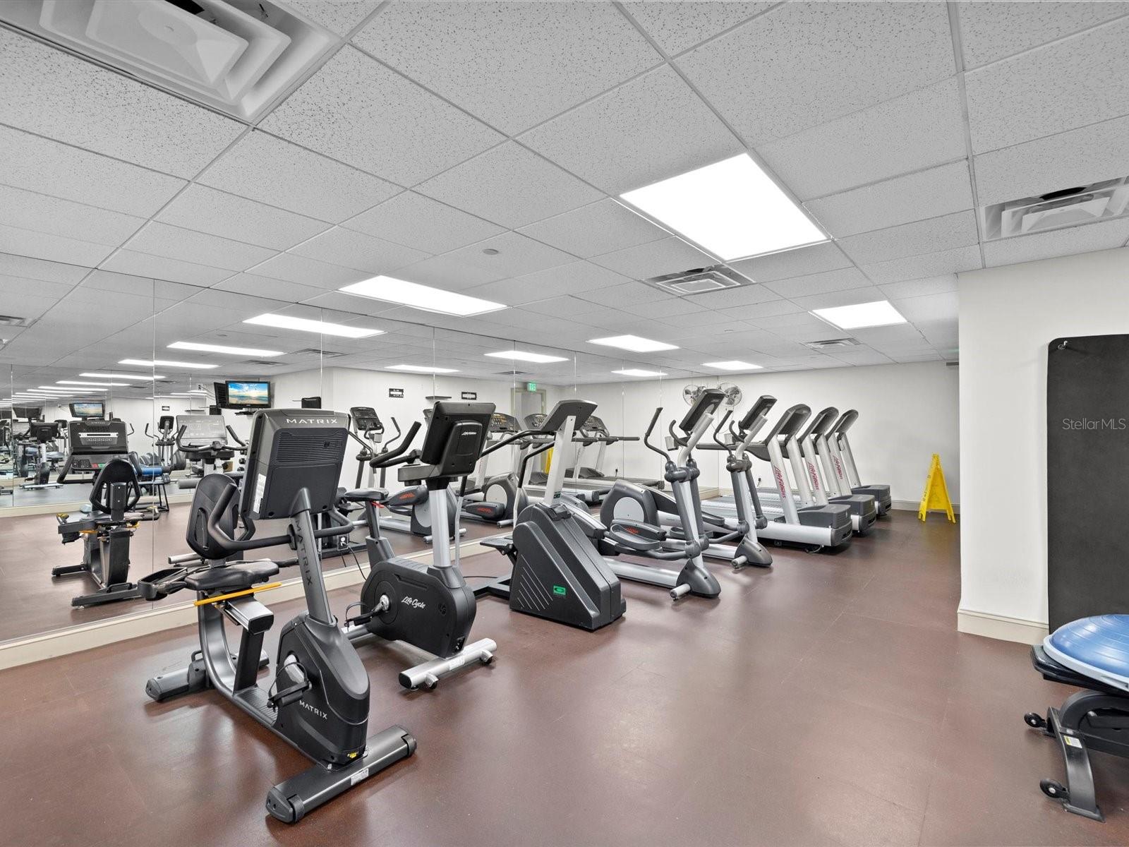 Image 33 of 62 For 345 Bayshore Boulevard 603