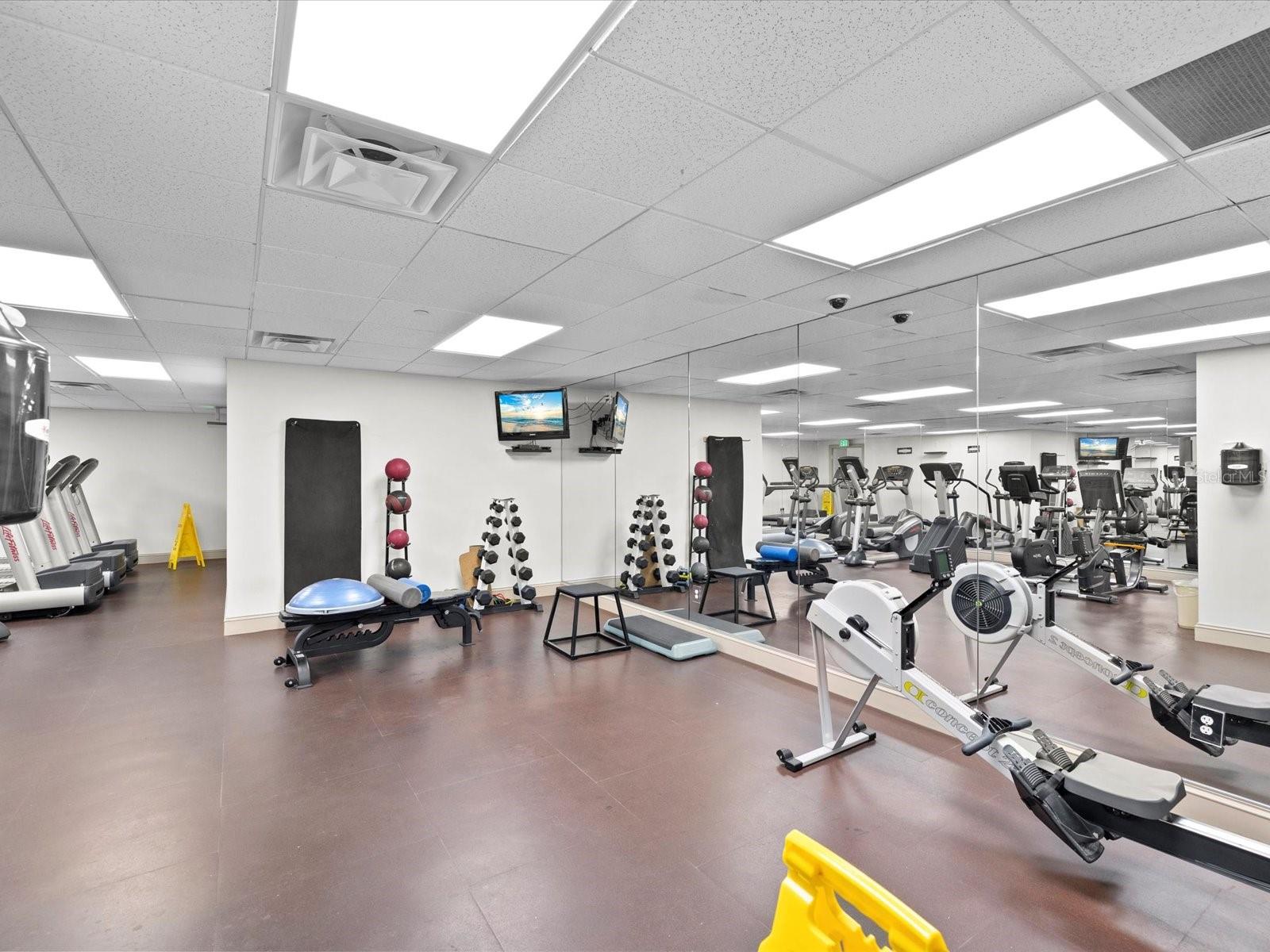 Image 34 of 62 For 345 Bayshore Boulevard 603