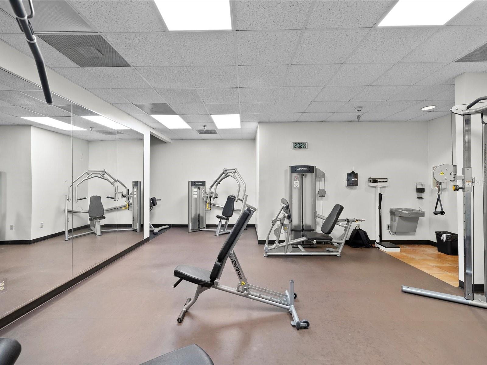 Image 37 of 62 For 345 Bayshore Boulevard 603