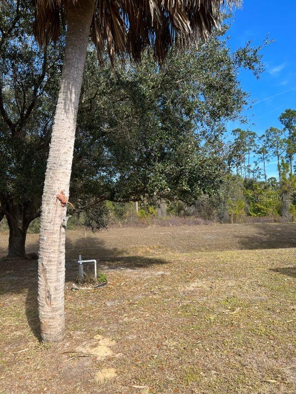 Image 29 of 37 For 1135 Bergen Lane