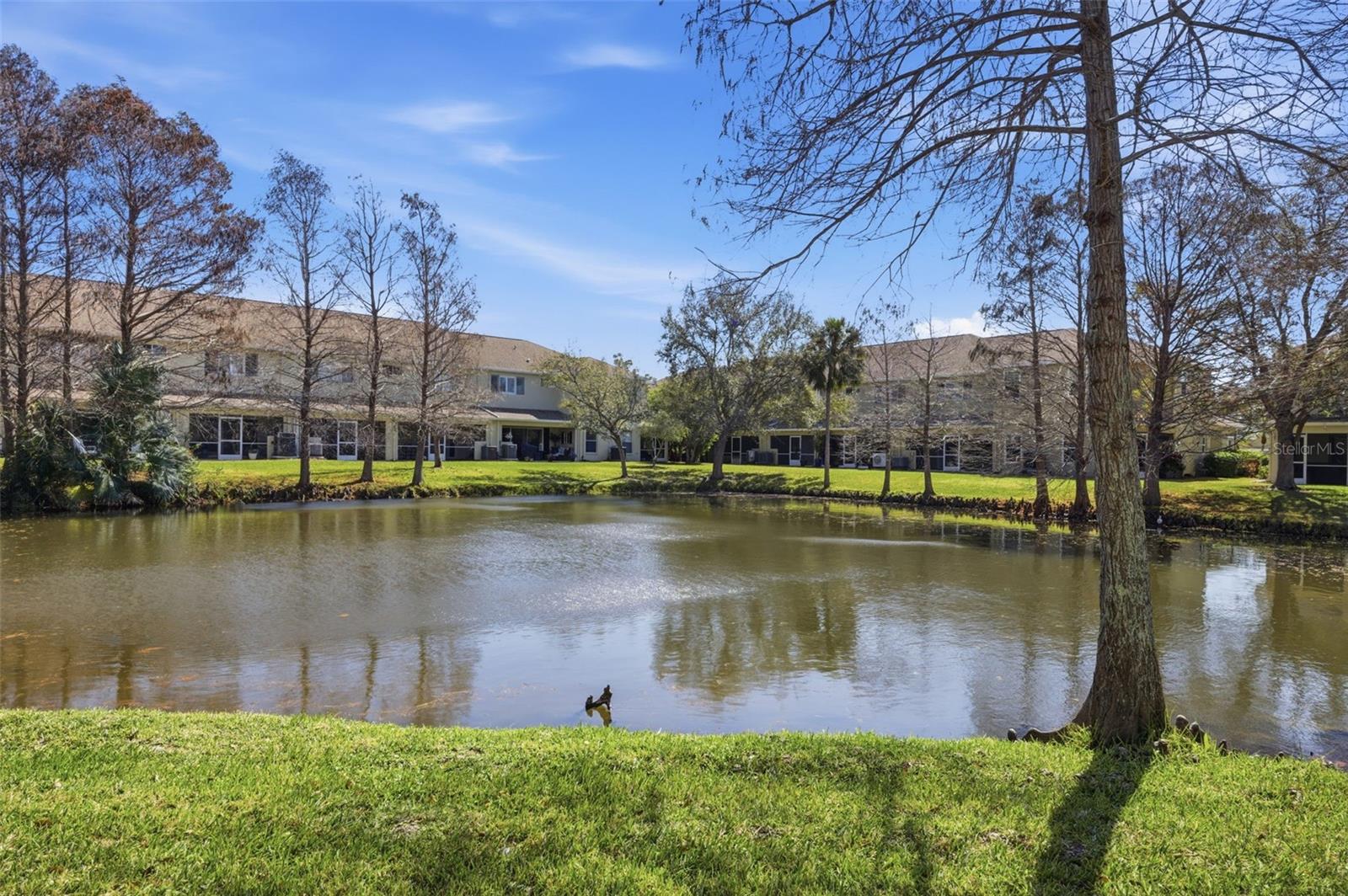 Listing photo id 31 for 11125 Kapok Grand Circle