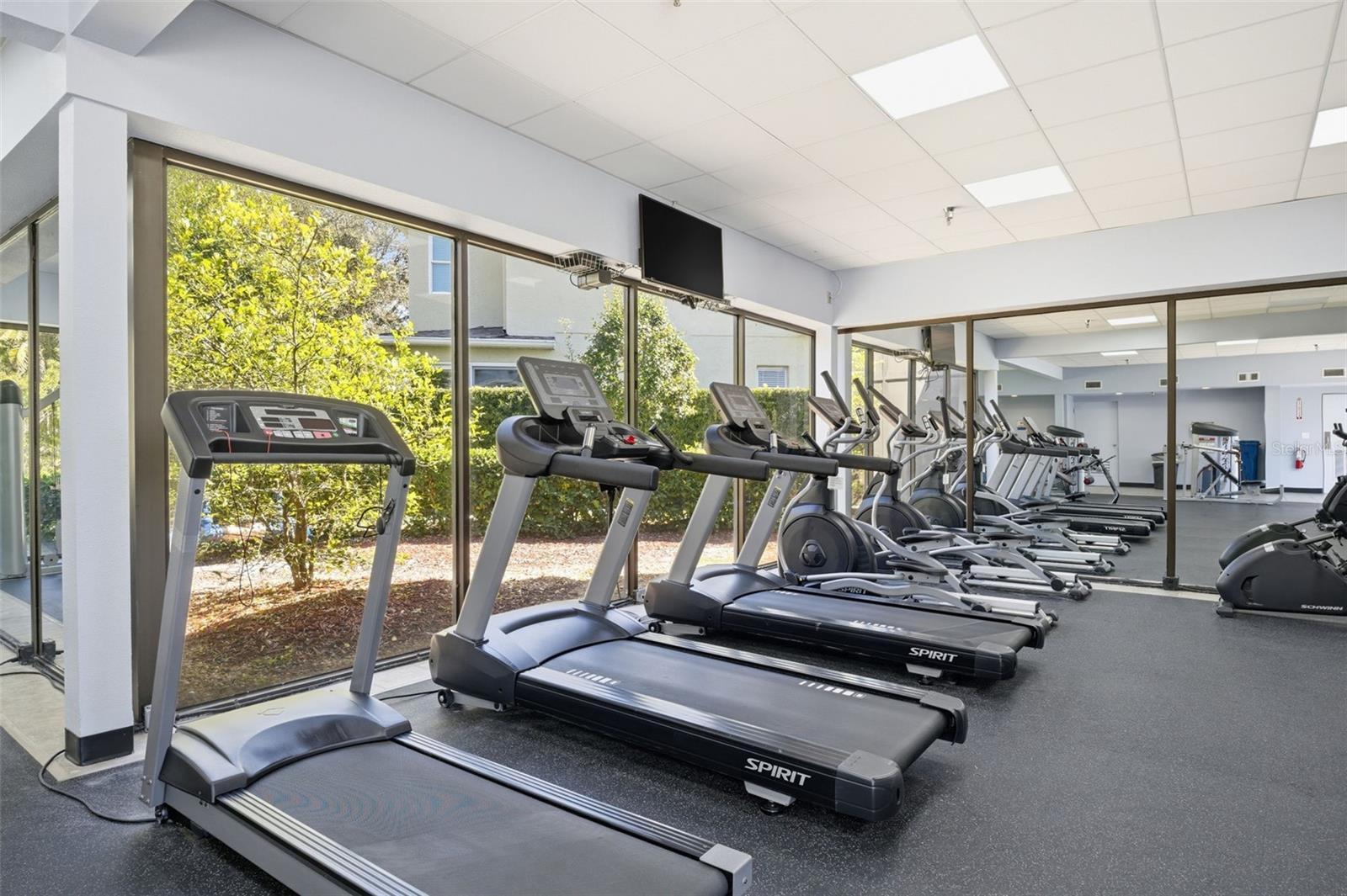 Listing photo id 51 for 11125 Kapok Grand Circle