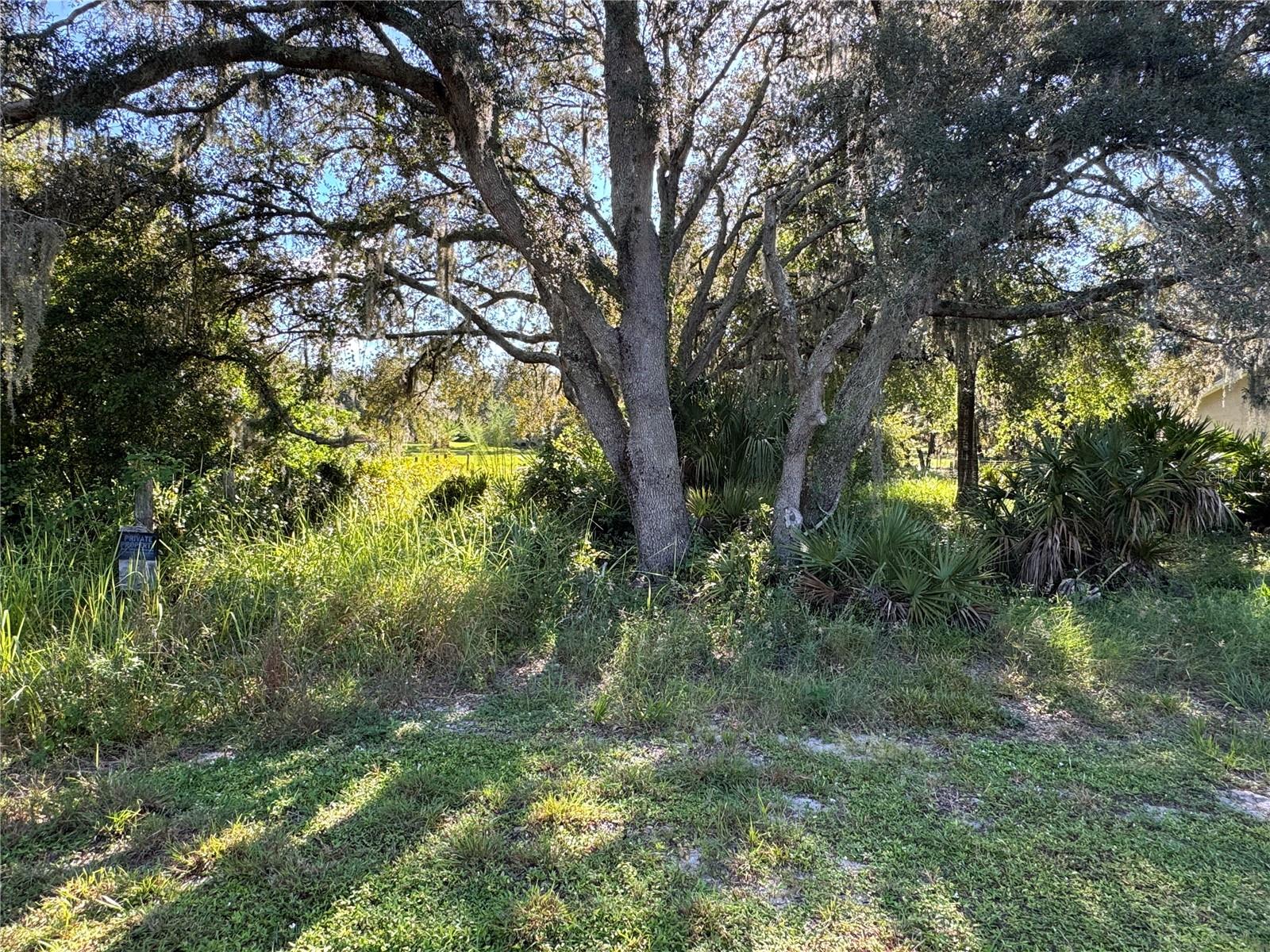 Image 3 of 8 For 2040 Morningside Road