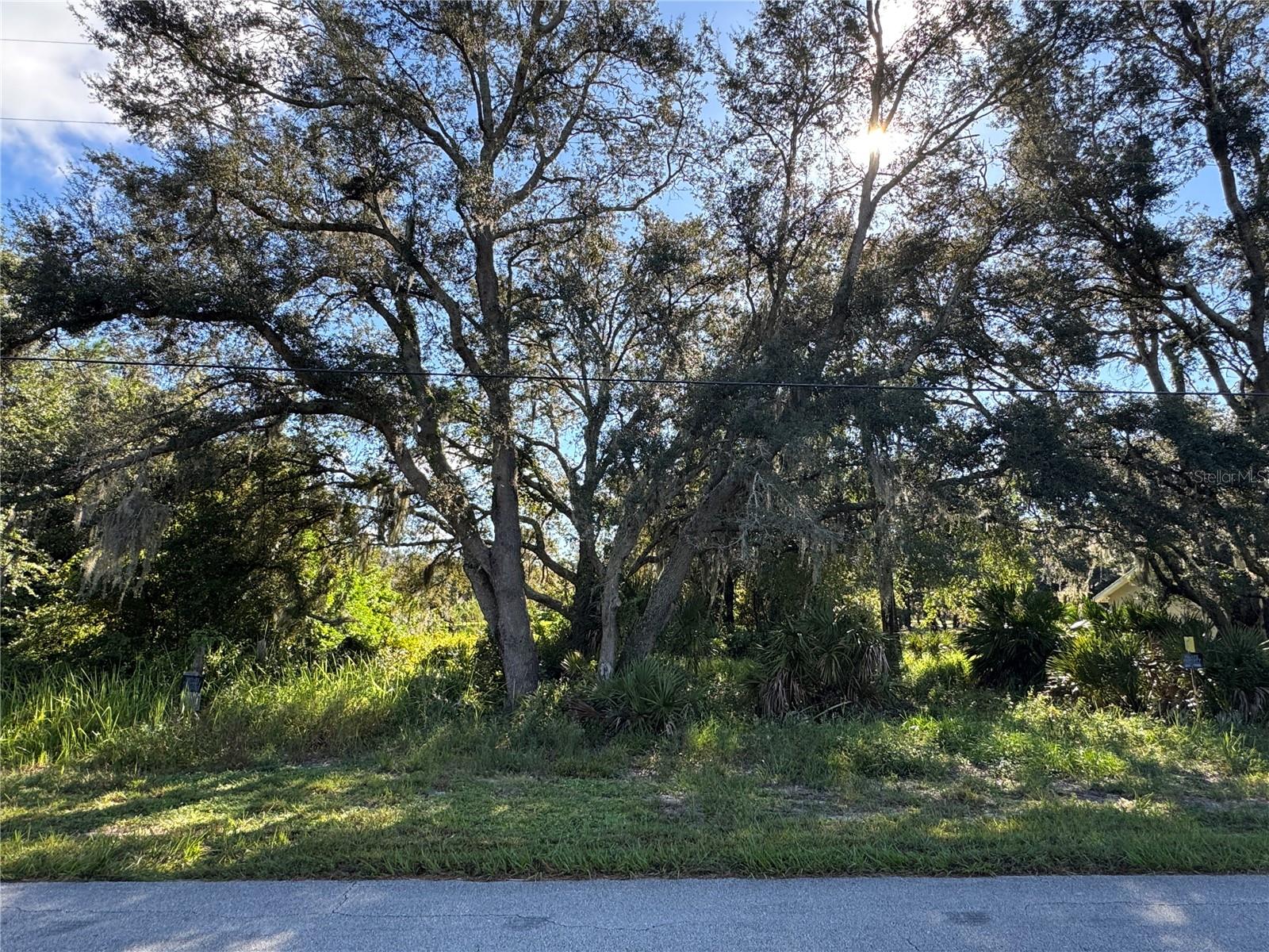 Image 6 of 8 For 2040 Morningside Road