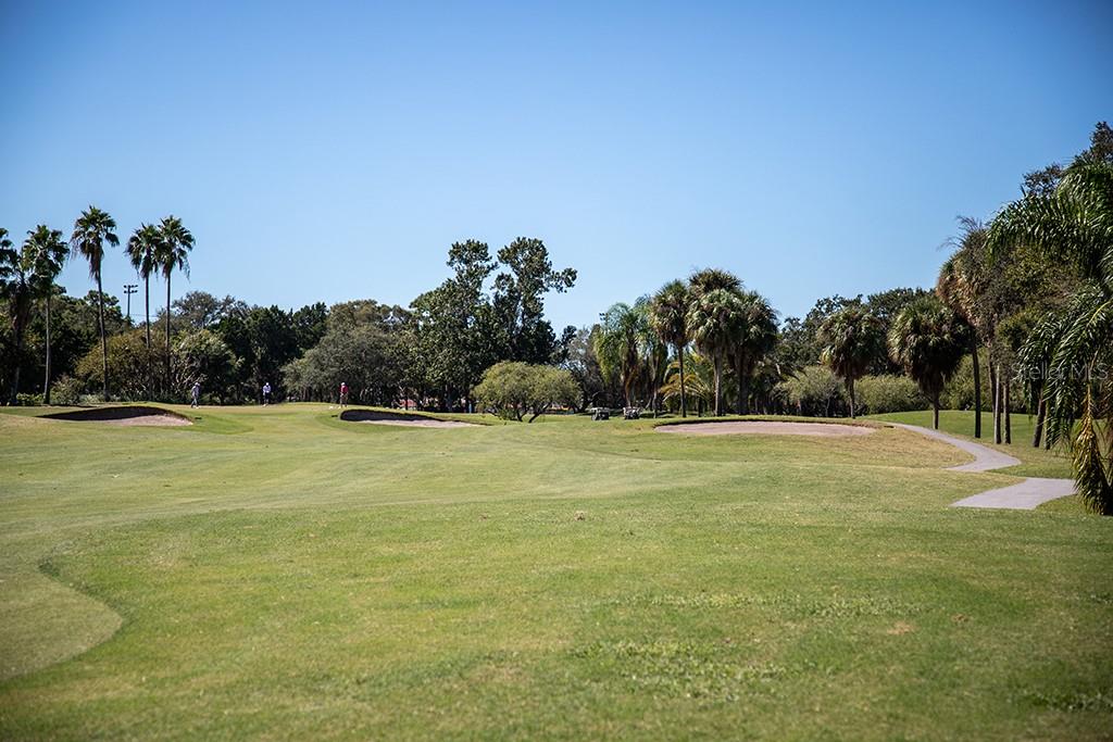 Image 25 of 39 For 900 Cove Cay Drive 1d