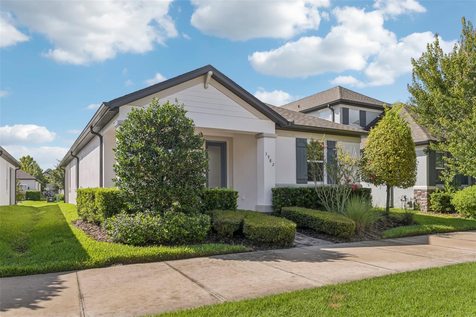 Image 3 of 36 For 3982 Night Star Trail