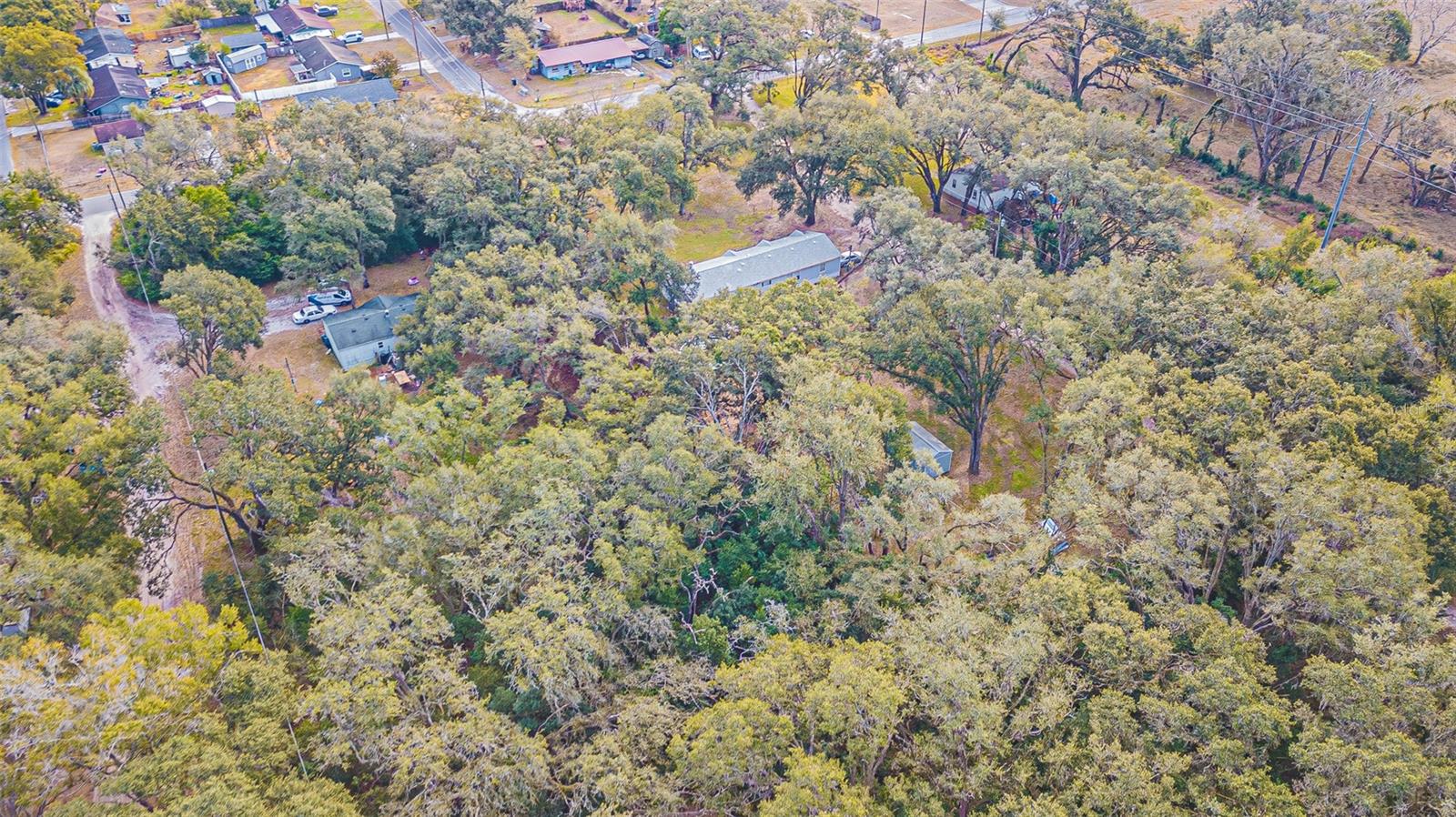 Image 53 of 53 For 7029 Forbes Road